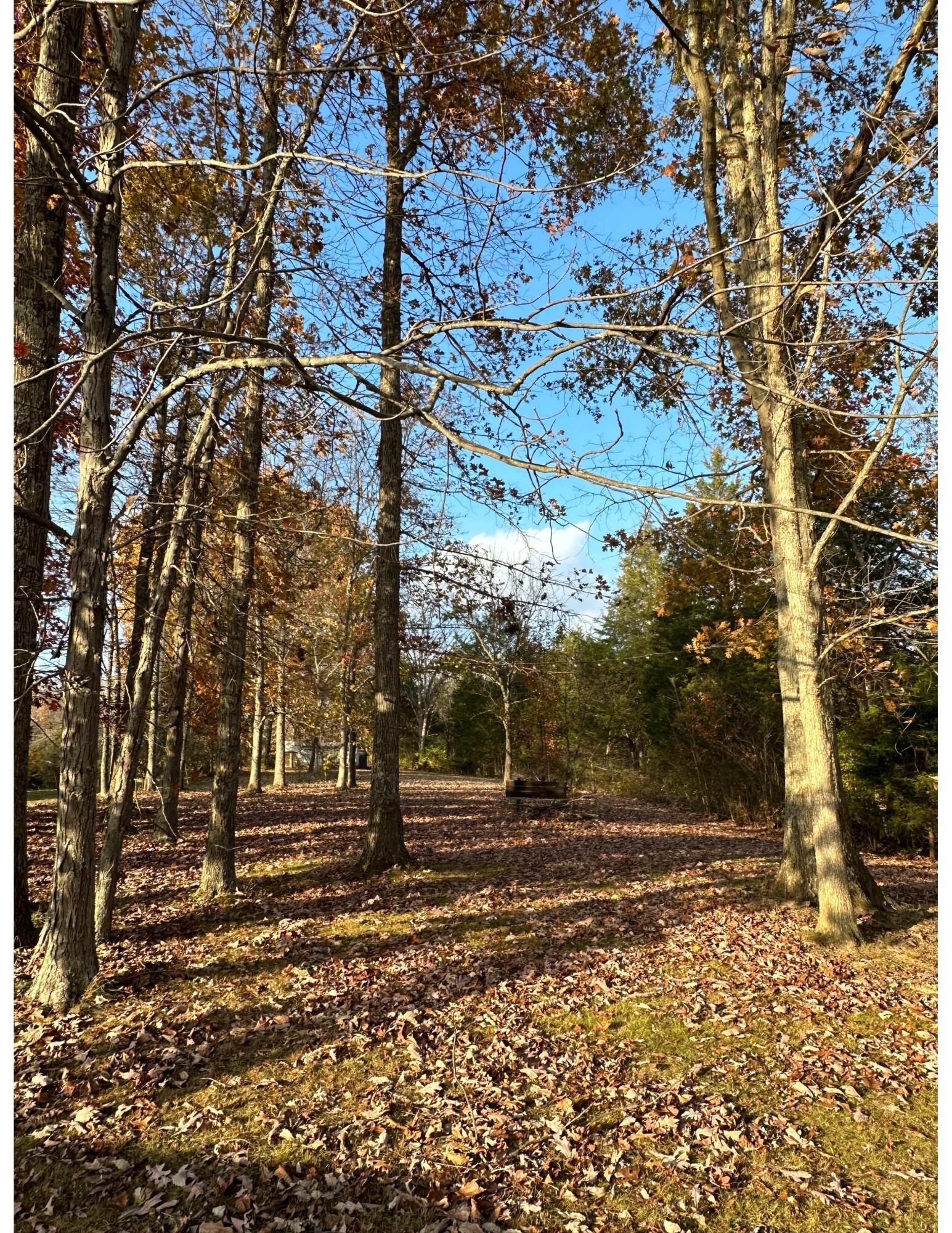 2305 Old Columbus Road