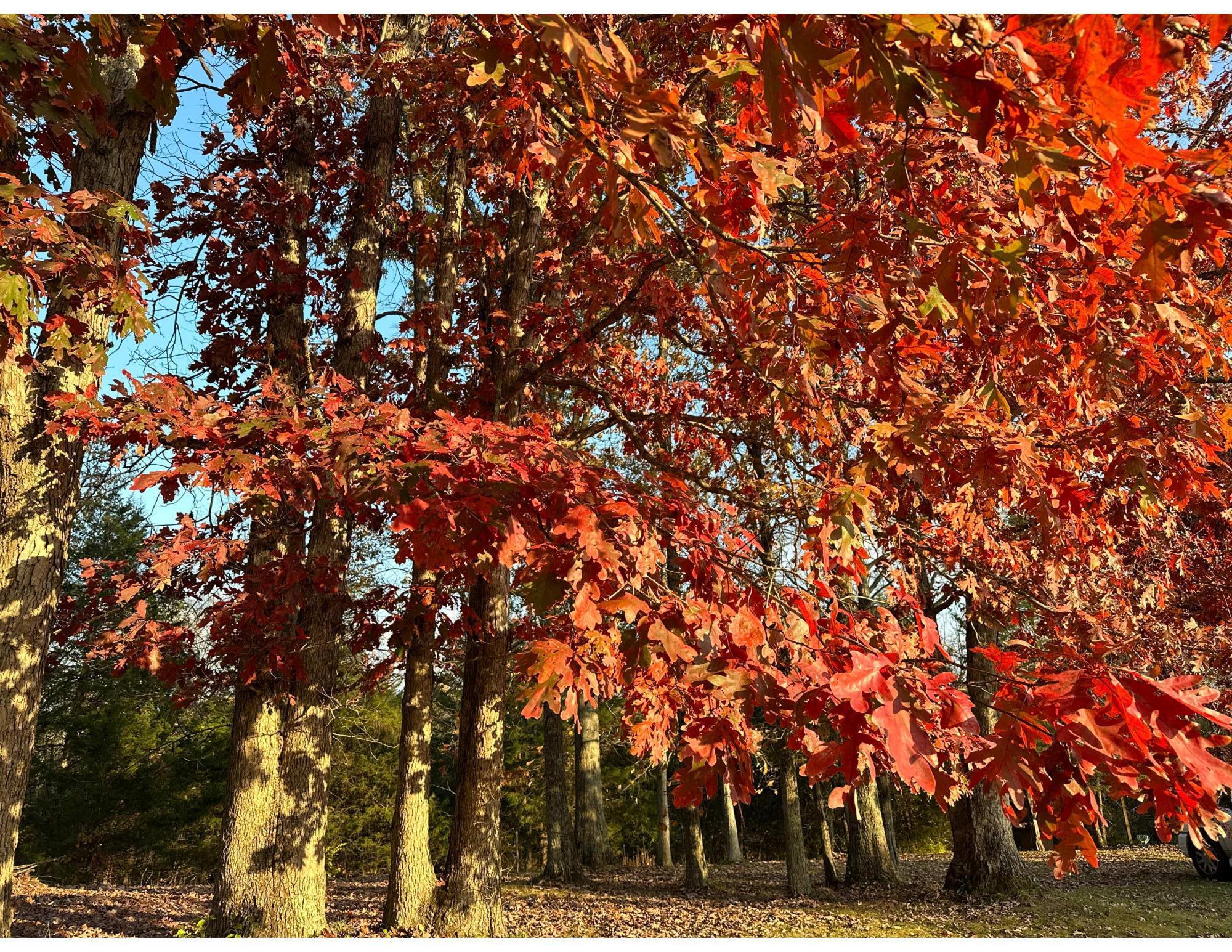 2305 Old Columbus Road