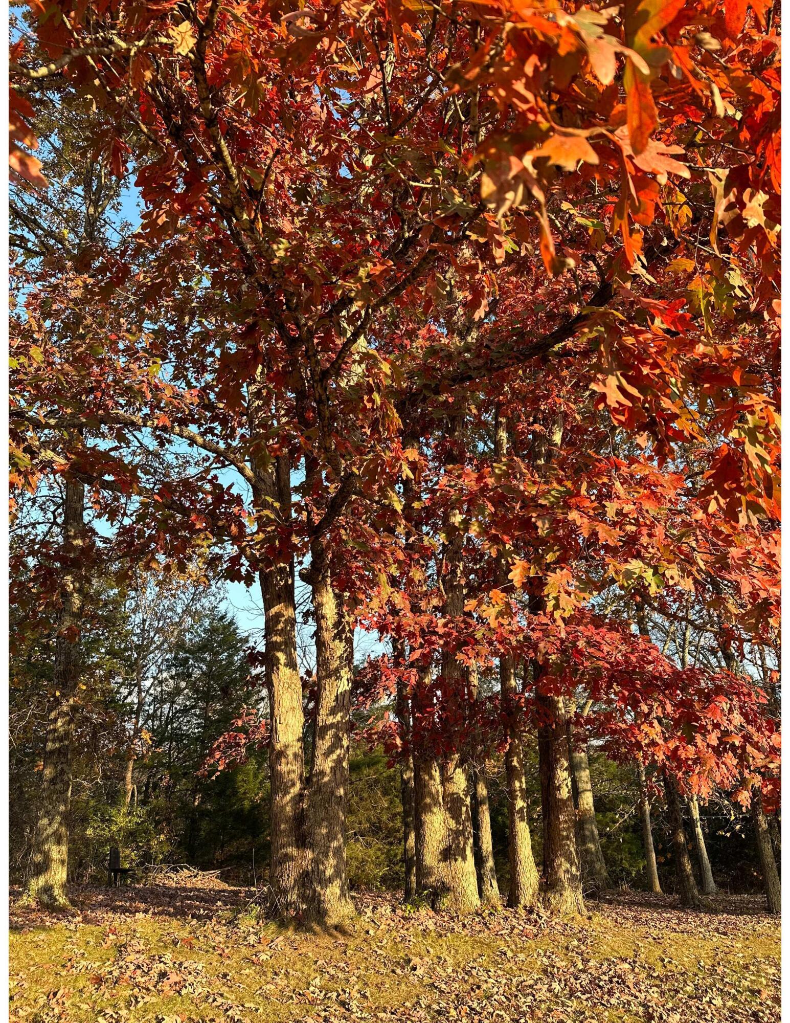 2305 Old Columbus Road