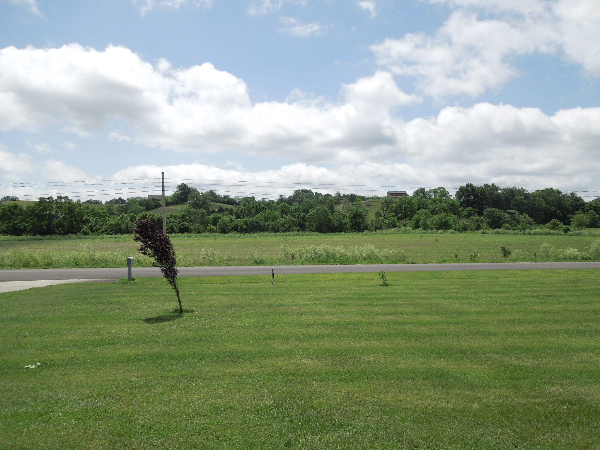 12255 Springfield Road