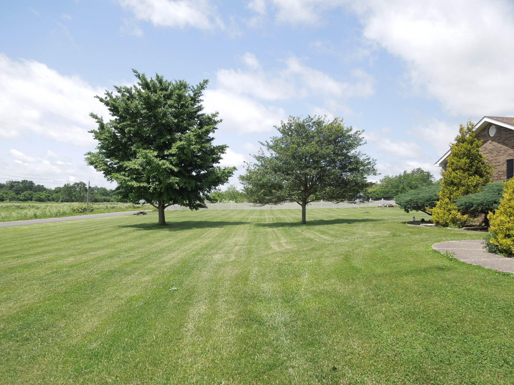 12255 Springfield Road