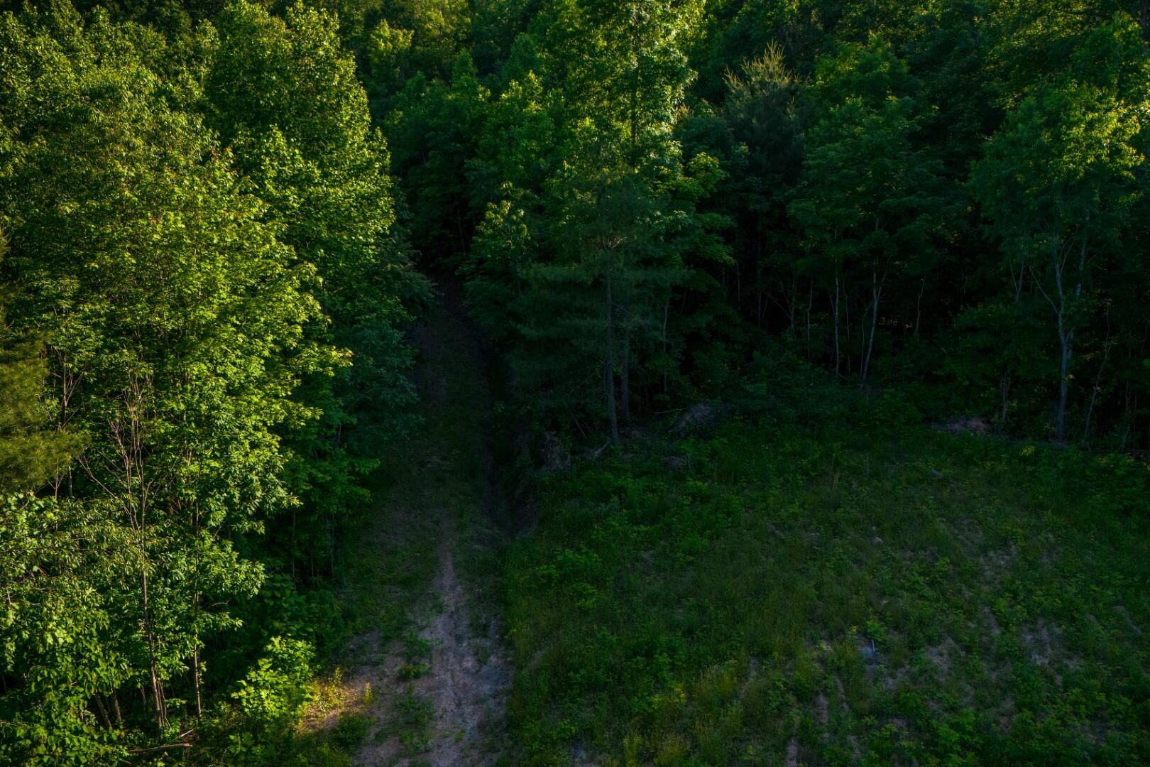 1 Mountain Springs Road