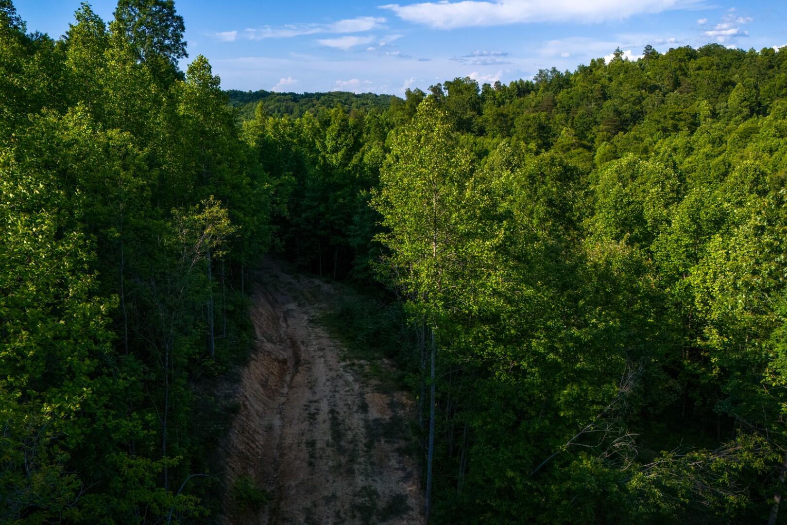 1 Mountain Springs Road