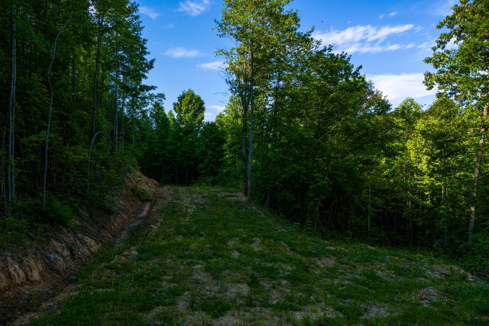 1 Mountain Springs Road