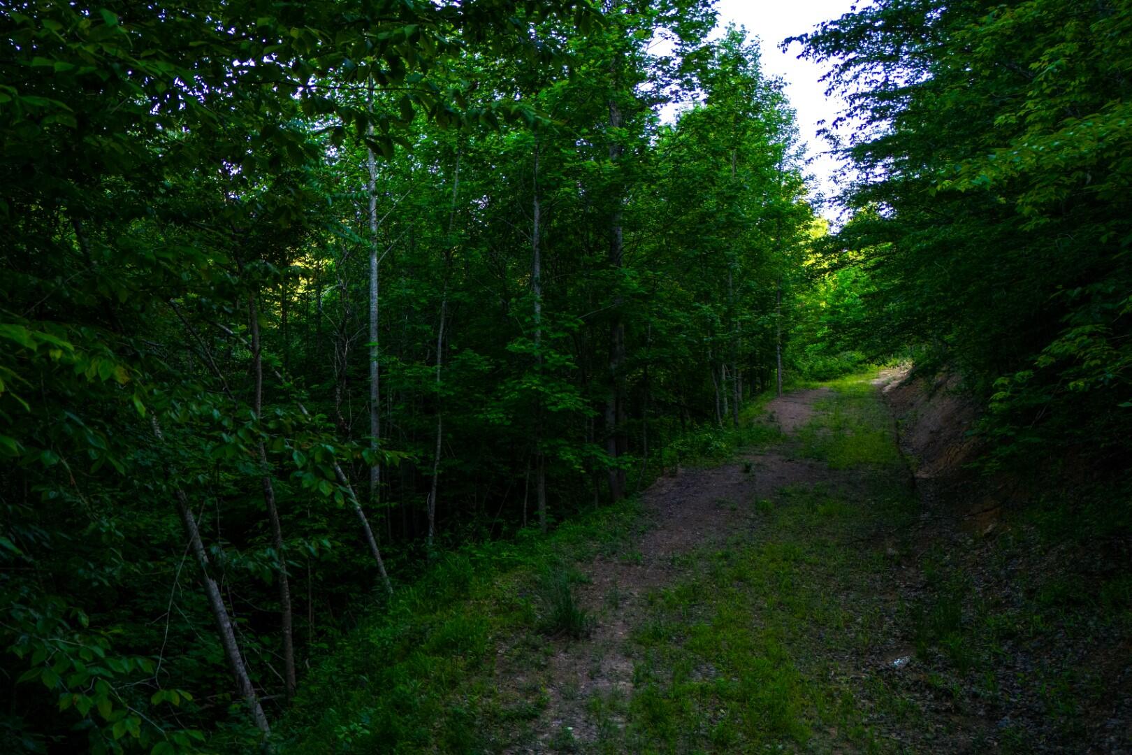 1 Mountain Springs Road