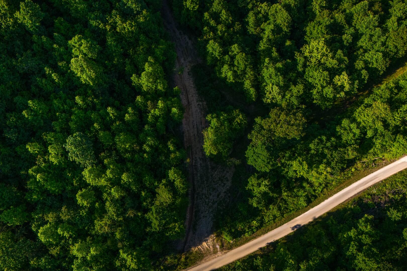 1 Mountain Springs Road