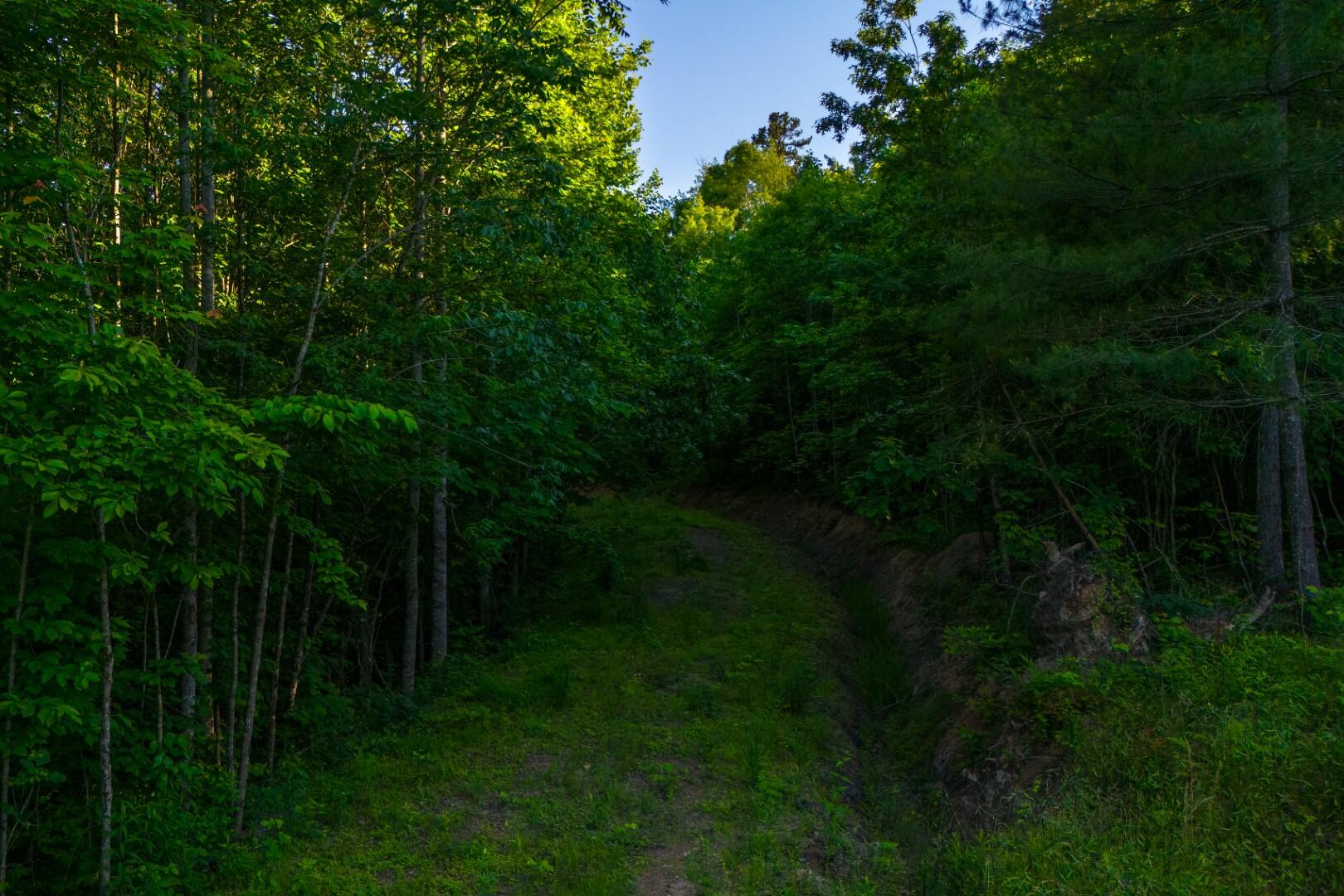 1 Mountain Springs Road