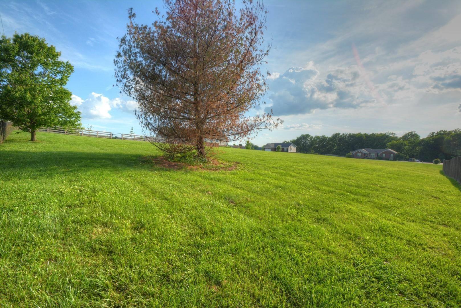 118 Brooklane Drive