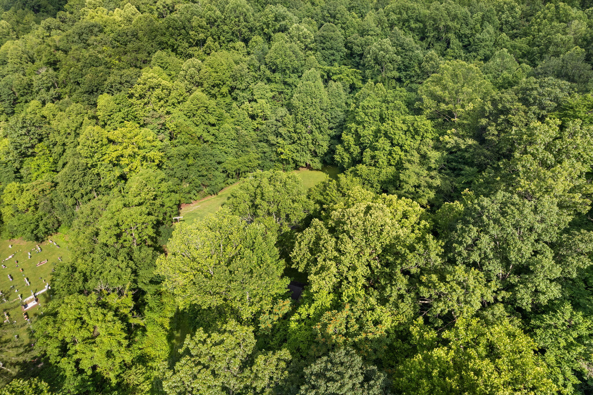 100 John Morgan Drive