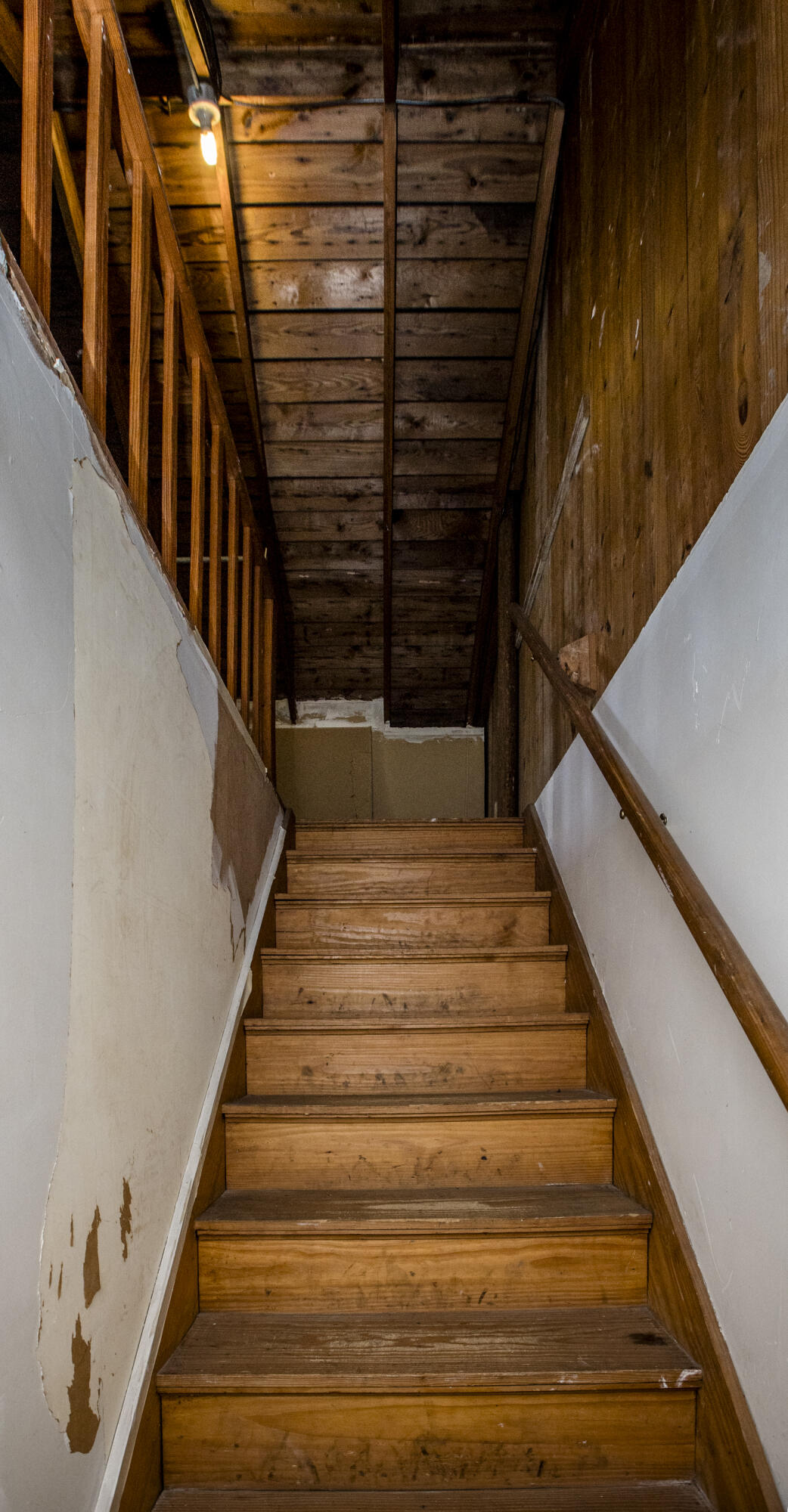 215-217 Arcadia Park