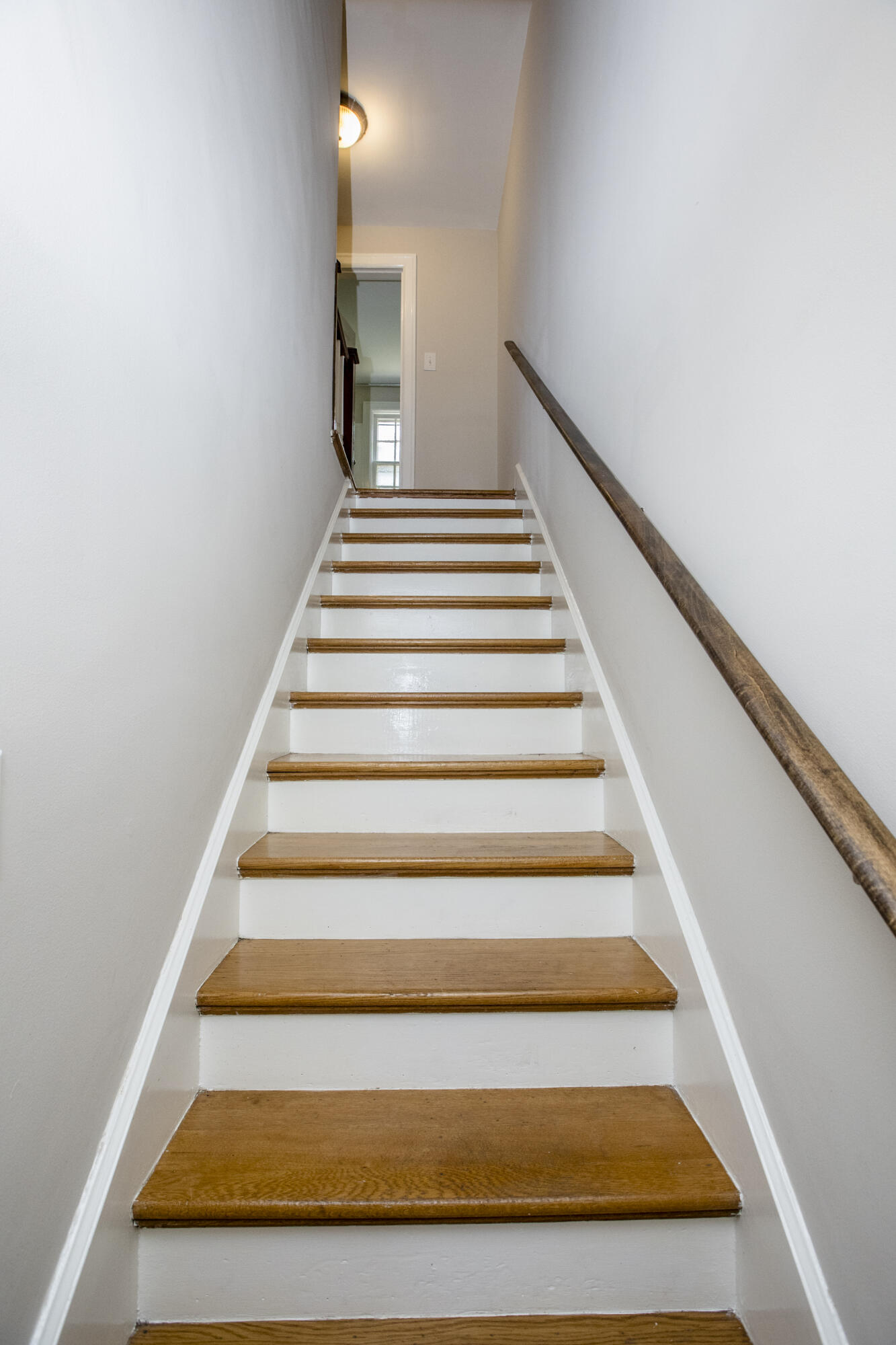 215-217 Arcadia Park