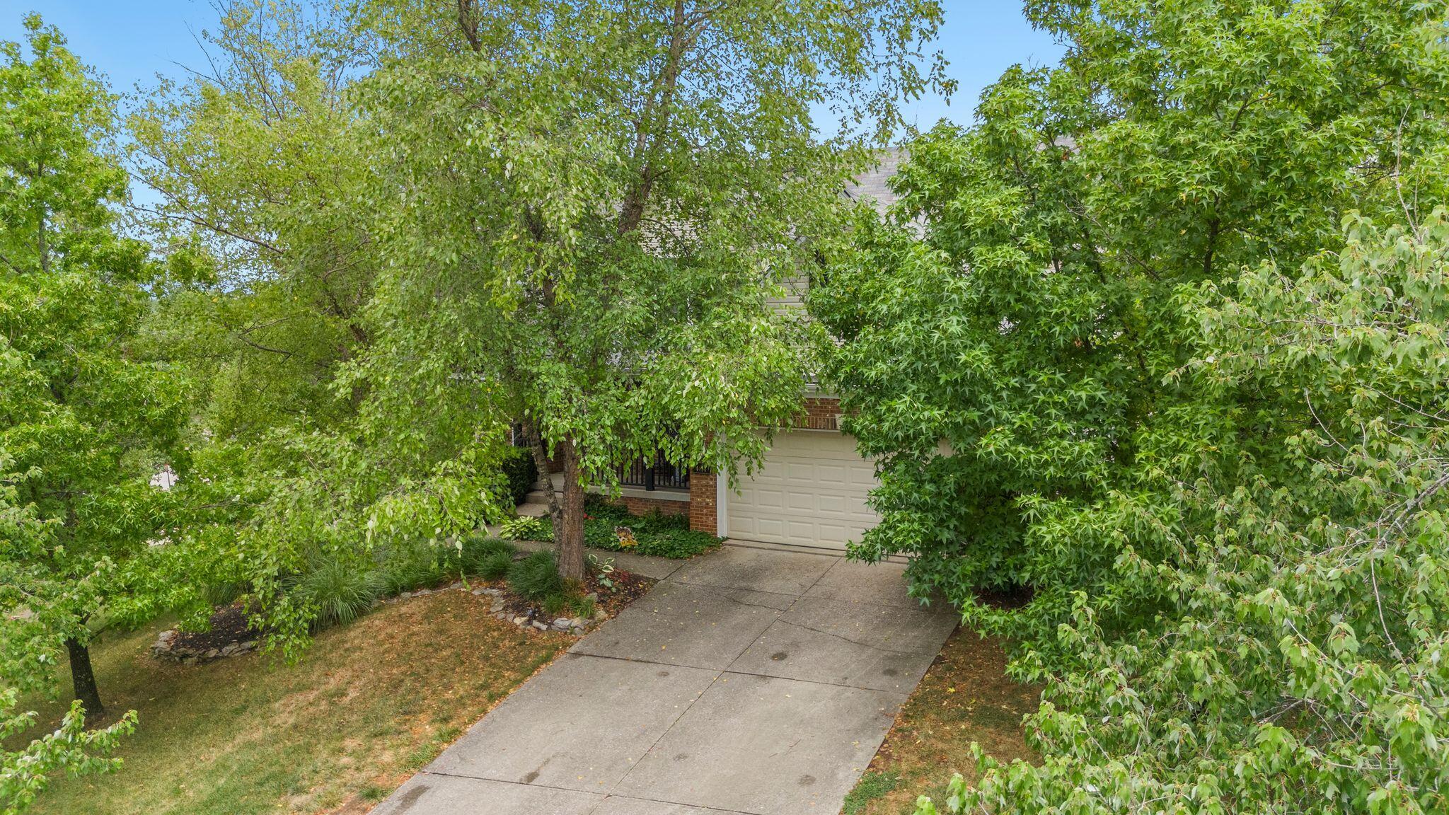 4454 Rose Dale Court