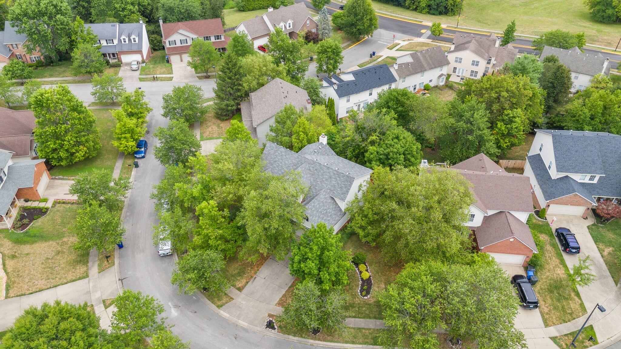 4454 Rose Dale Court