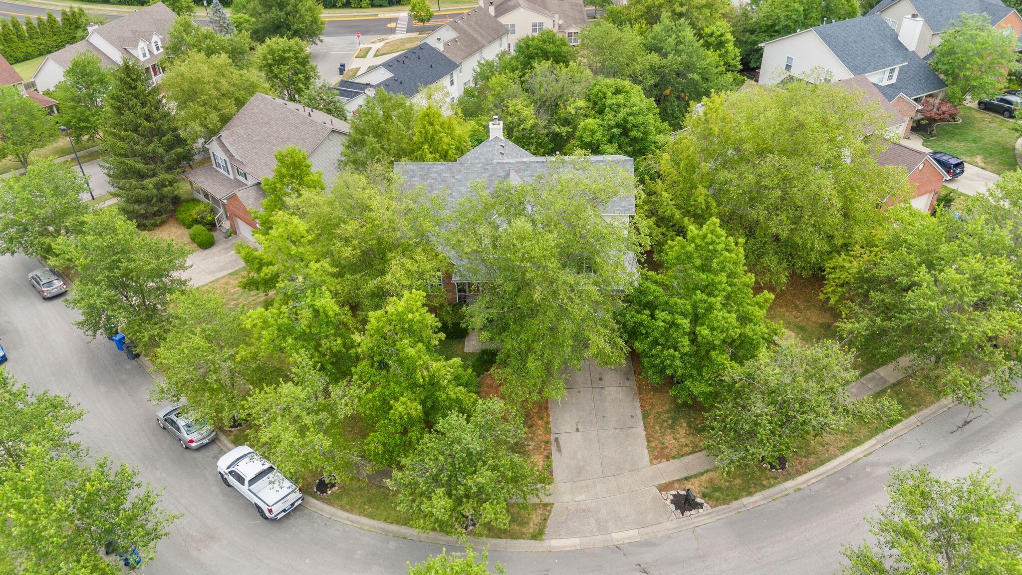 4454 Rose Dale Court