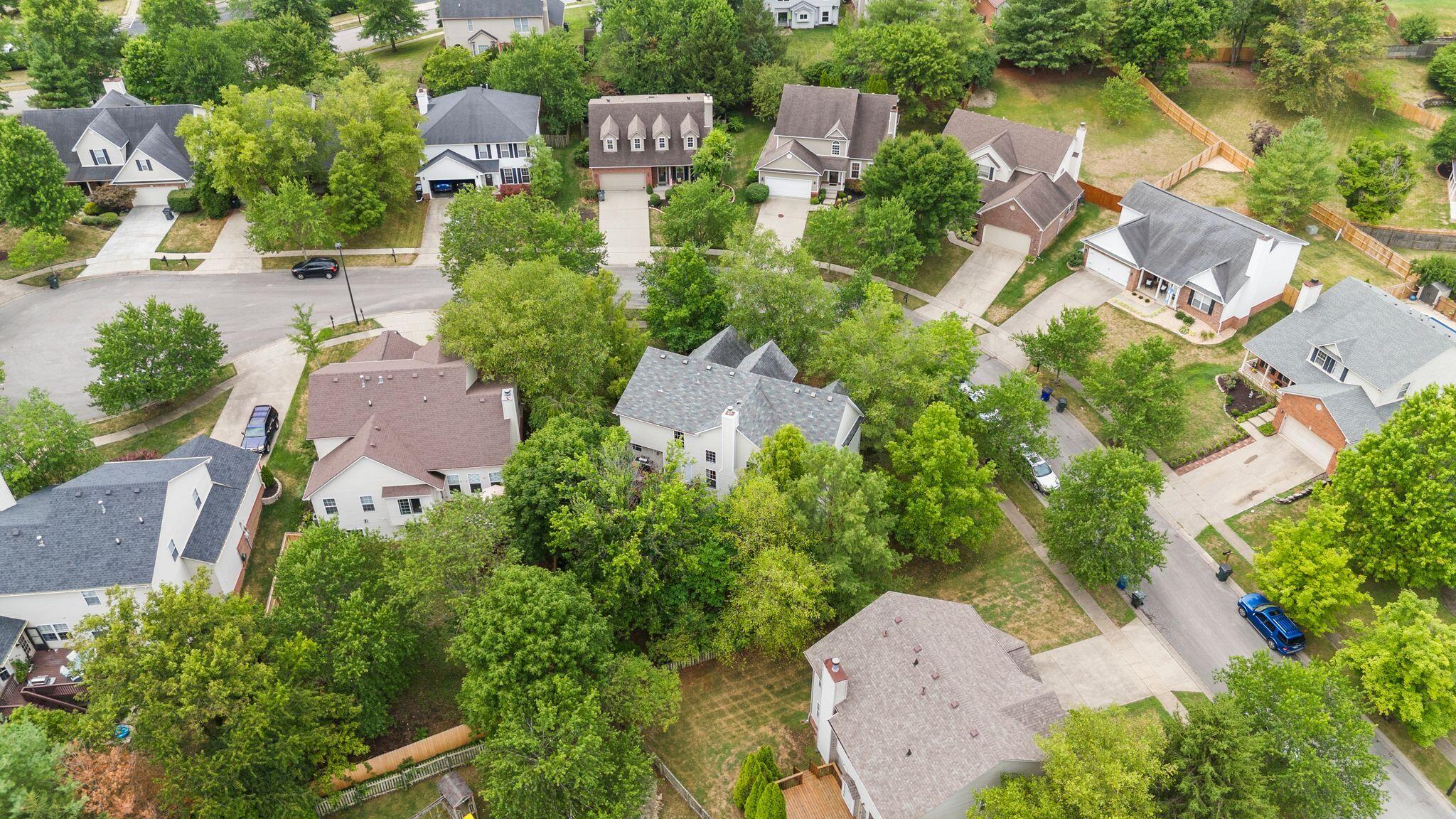 4454 Rose Dale Court