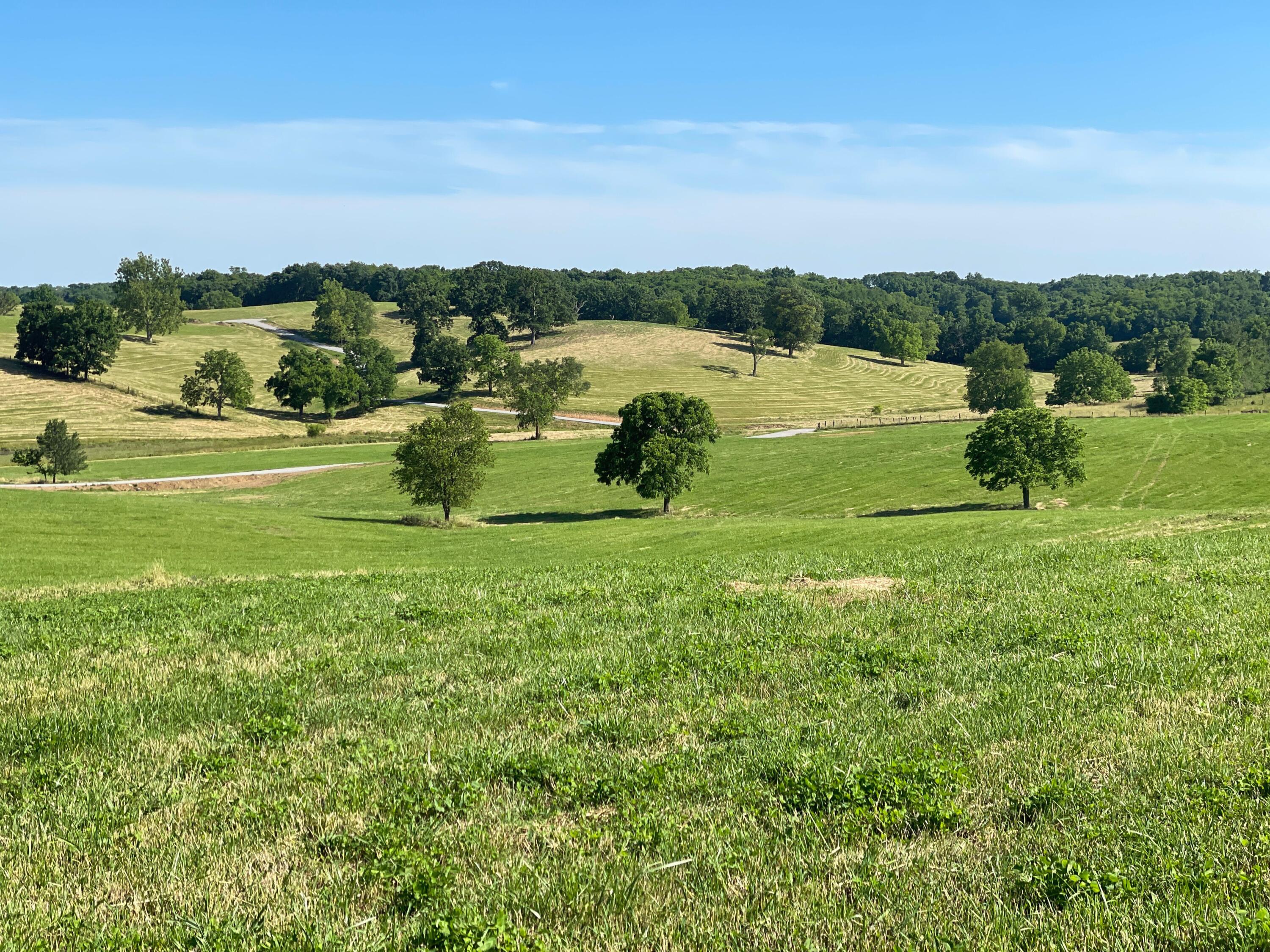 230 Creekside Farms Drive