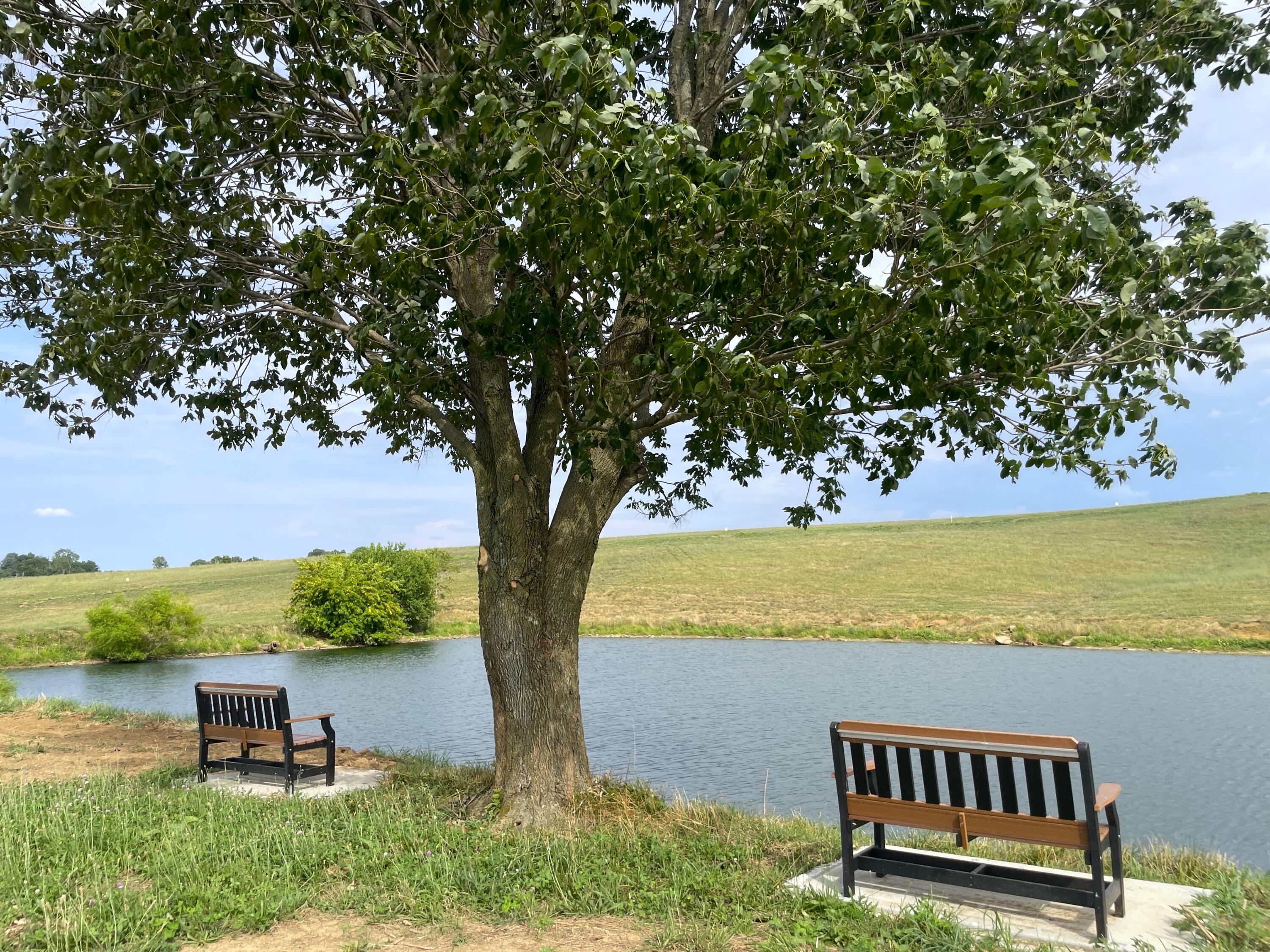 230 Creekside Farms Drive