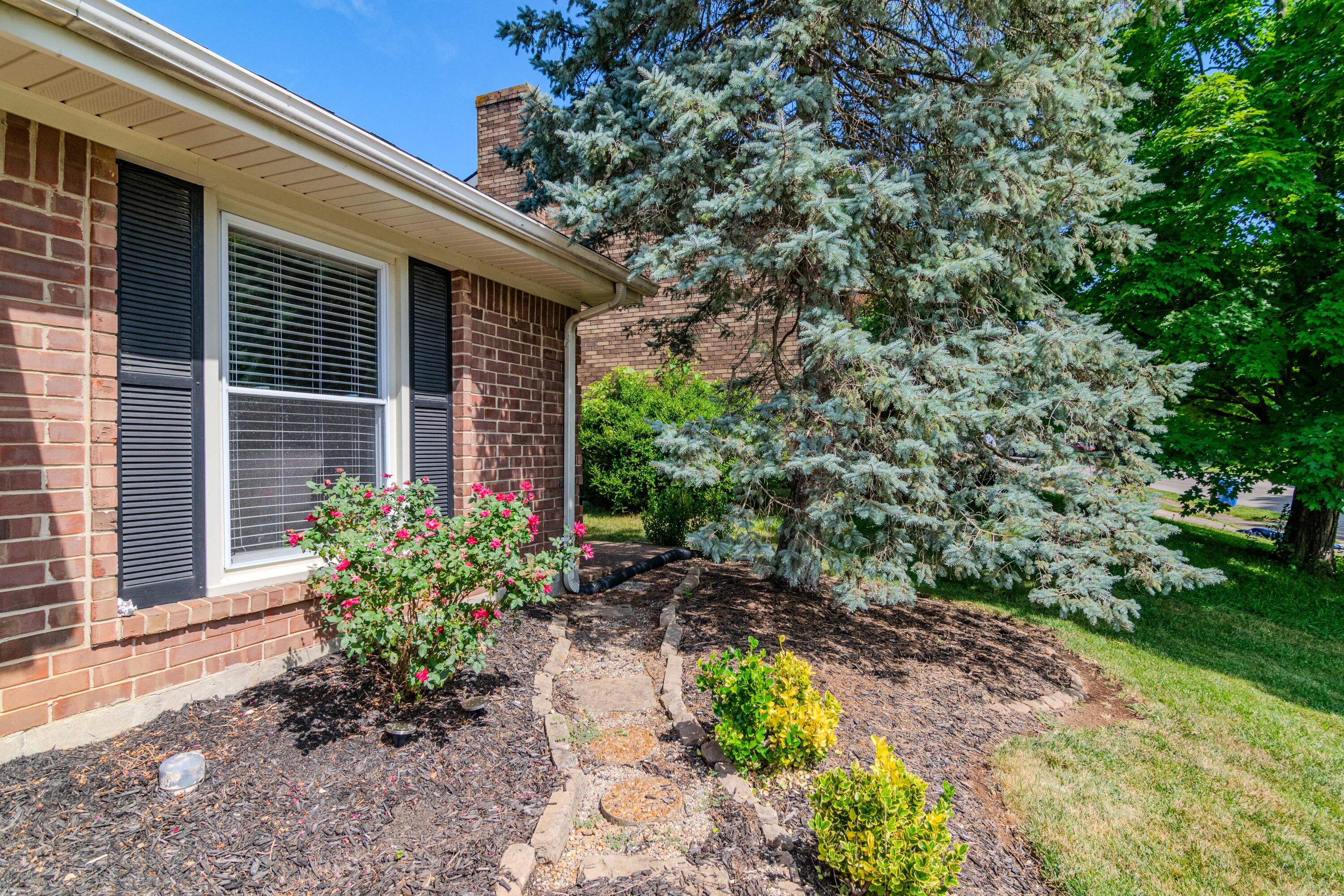 3384 Cove Lake Drive