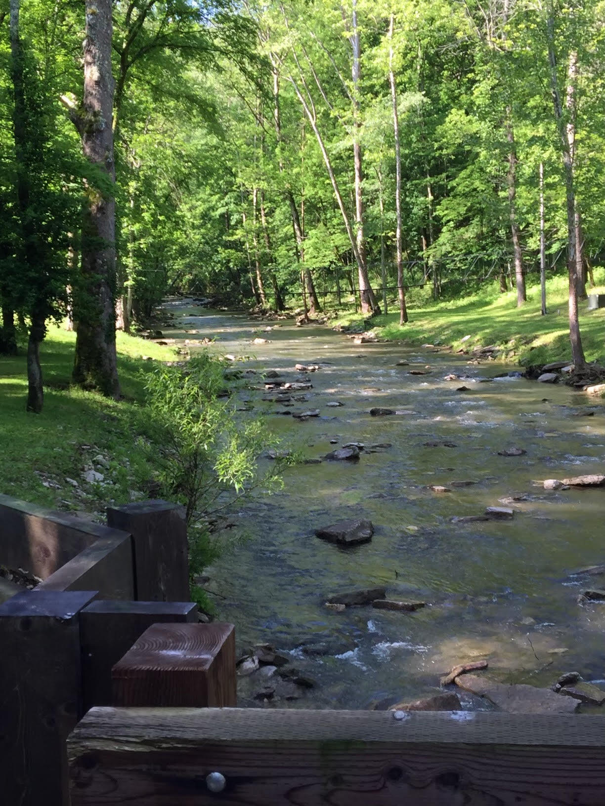 1425 Griers Creek Road