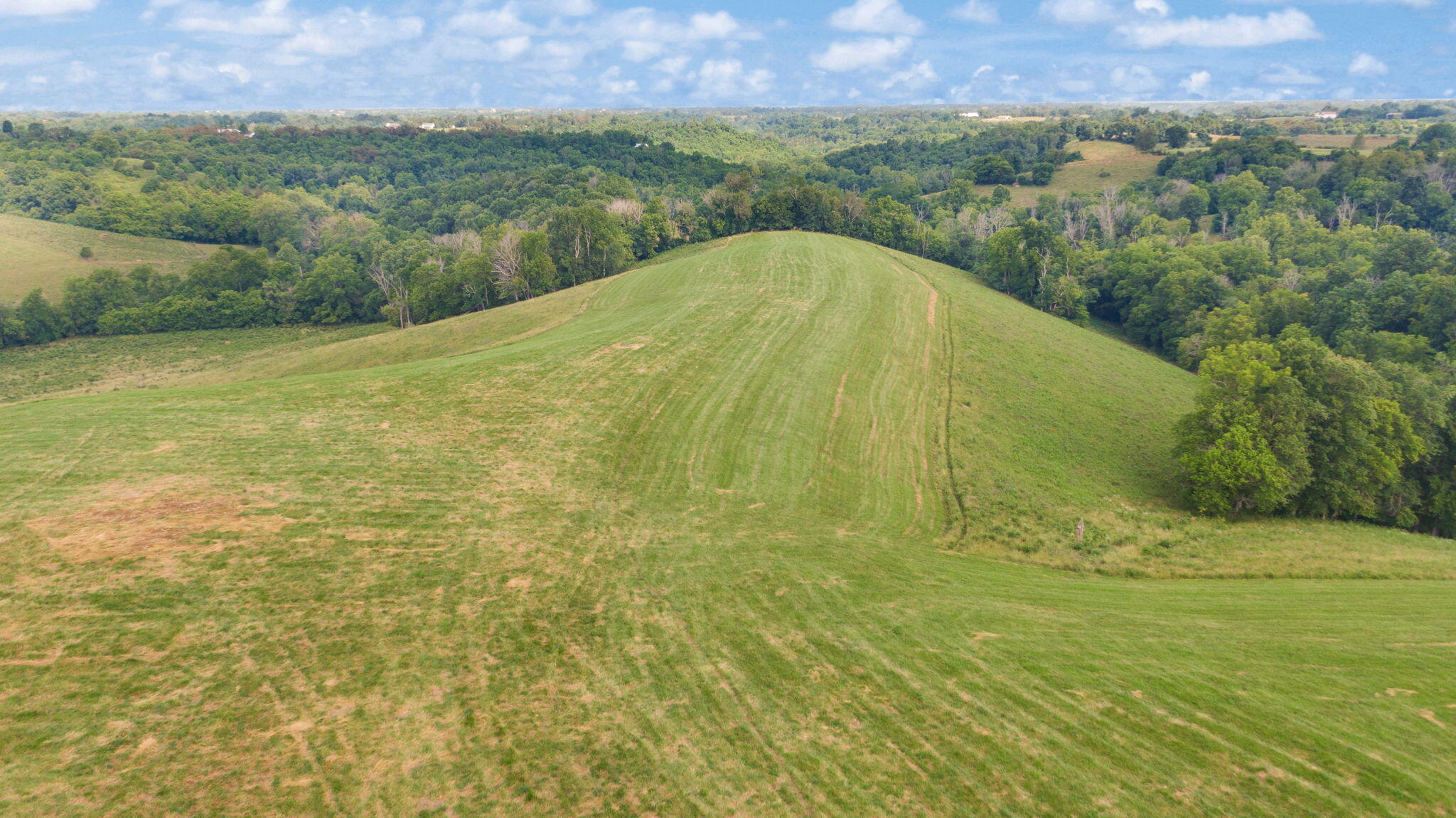 3719 Kirksville Road, 1A