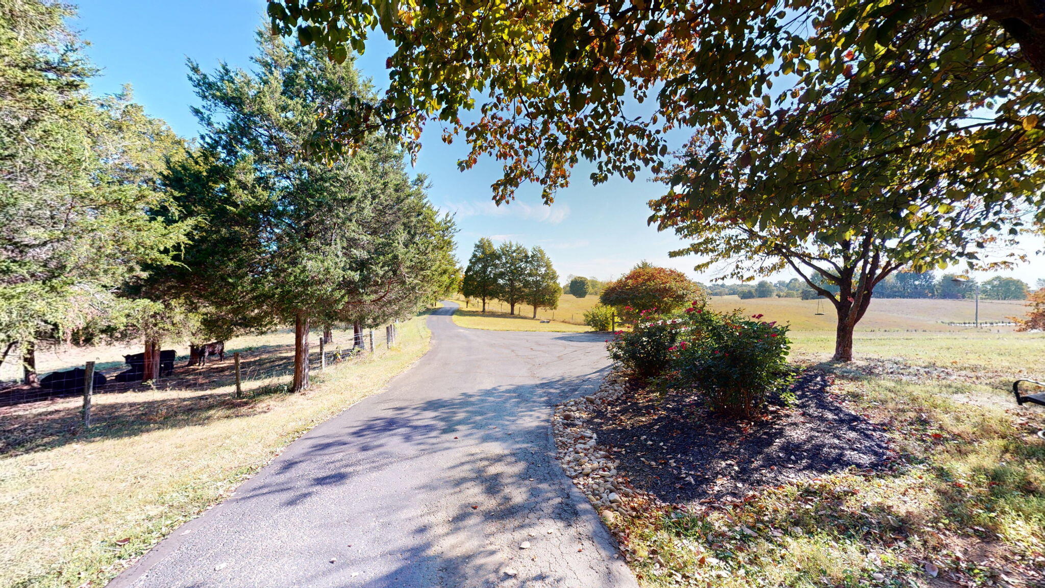 8585 Rineyville Road