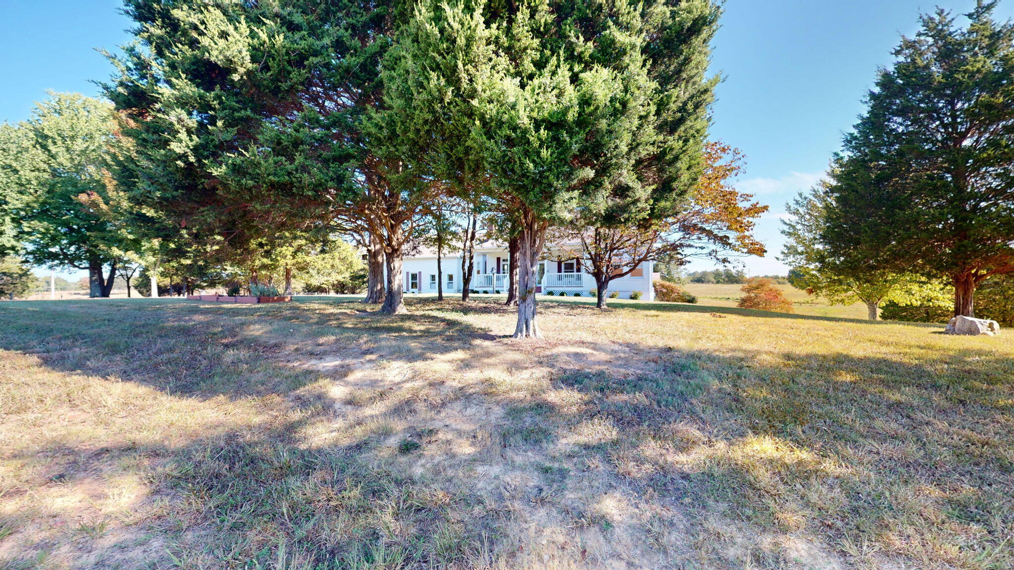 8585 Rineyville Road