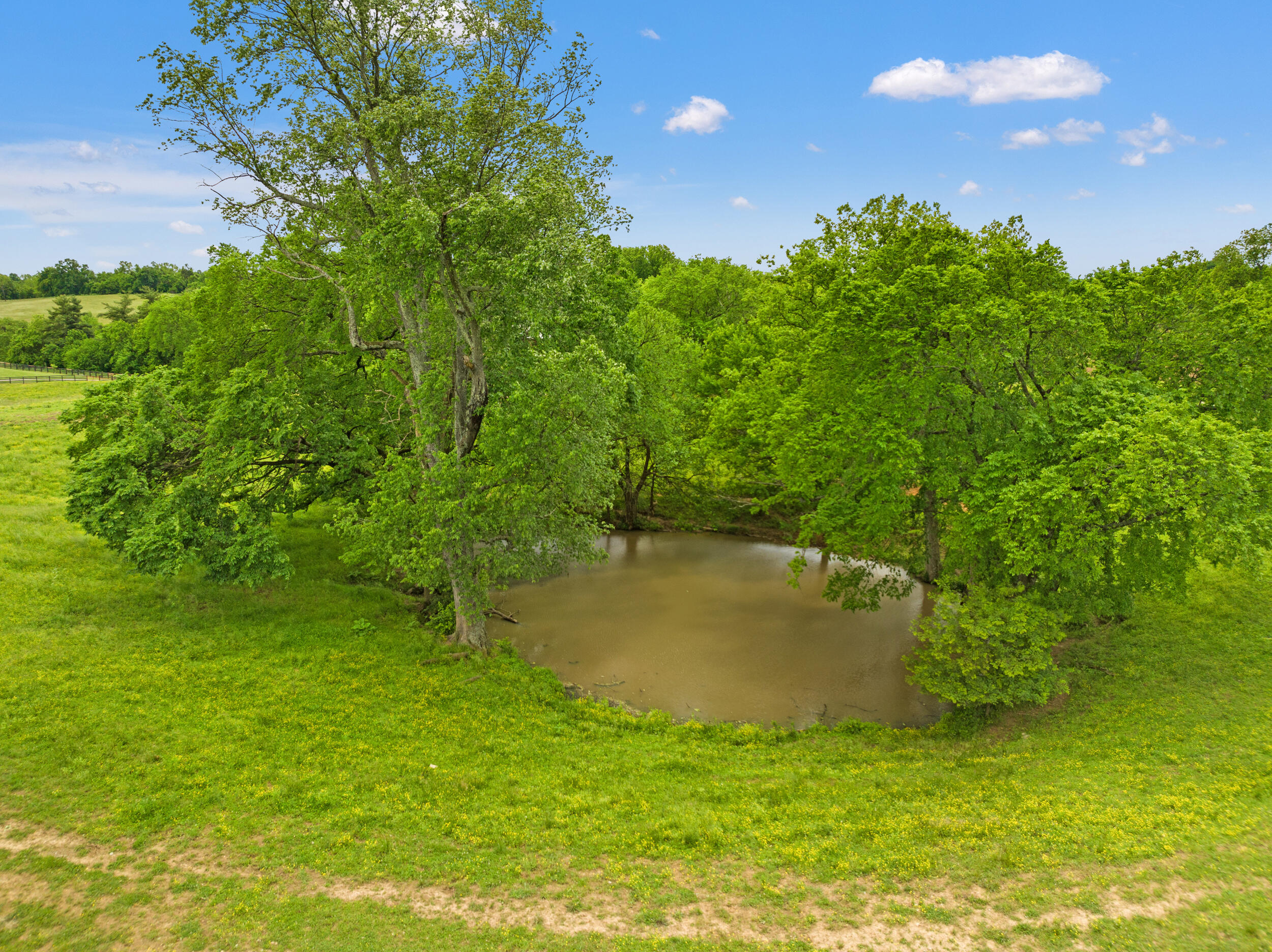 495 Shadrick Ferry Road