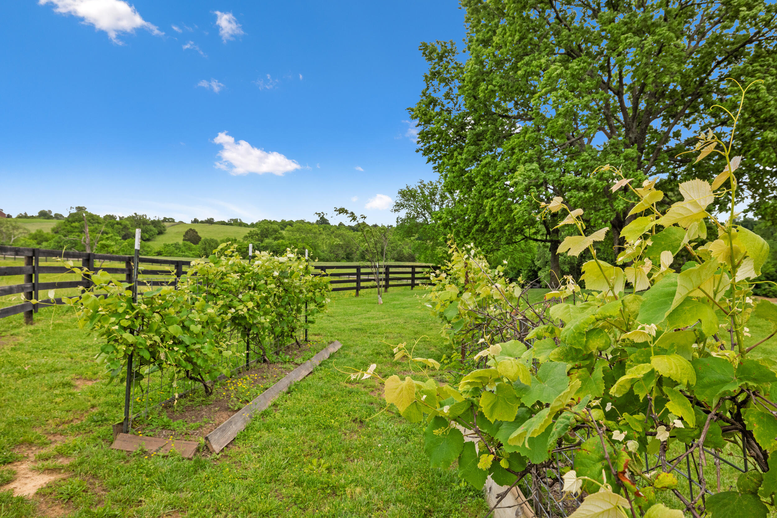 495 Shadrick Ferry Road