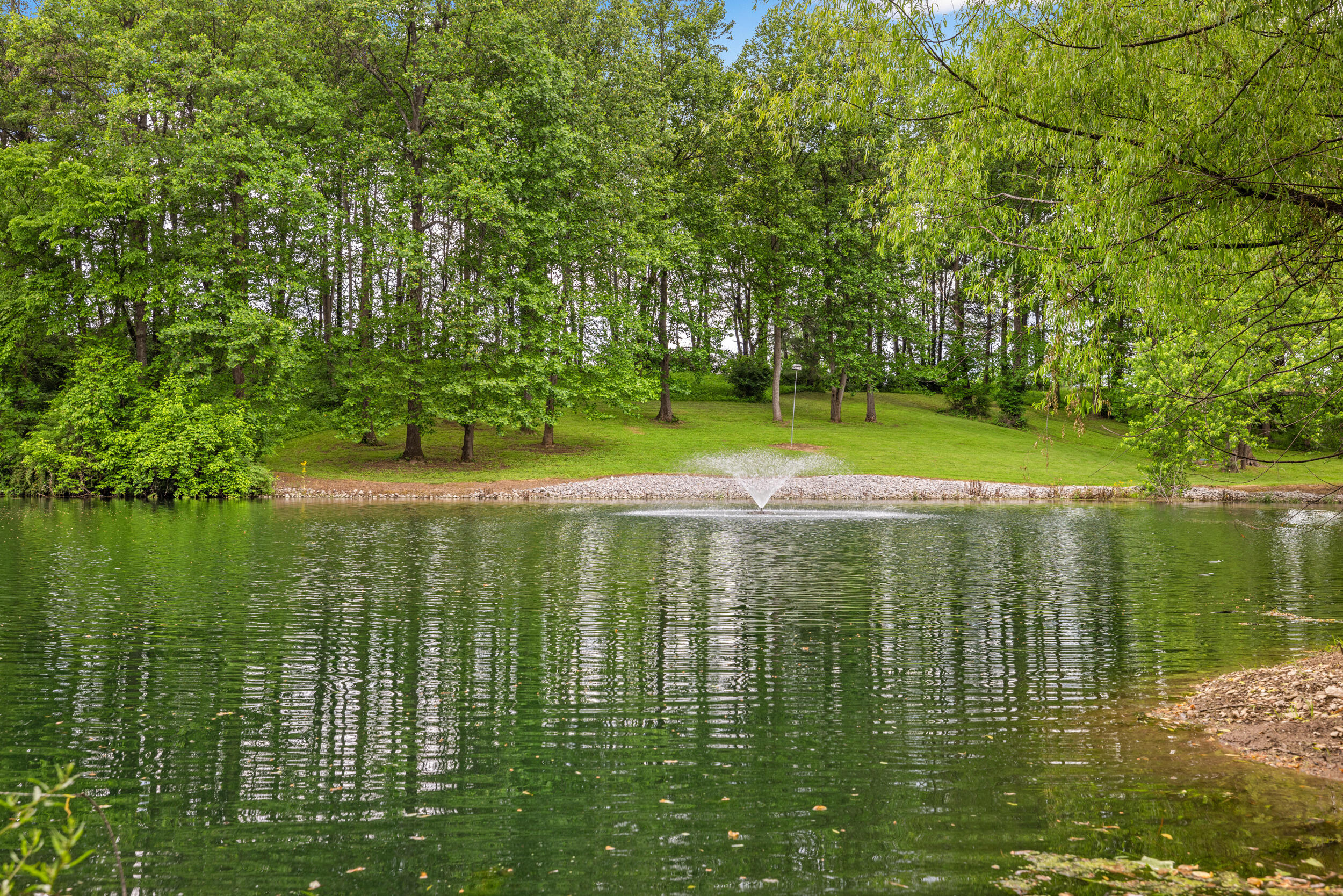 495 Shadrick Ferry Road