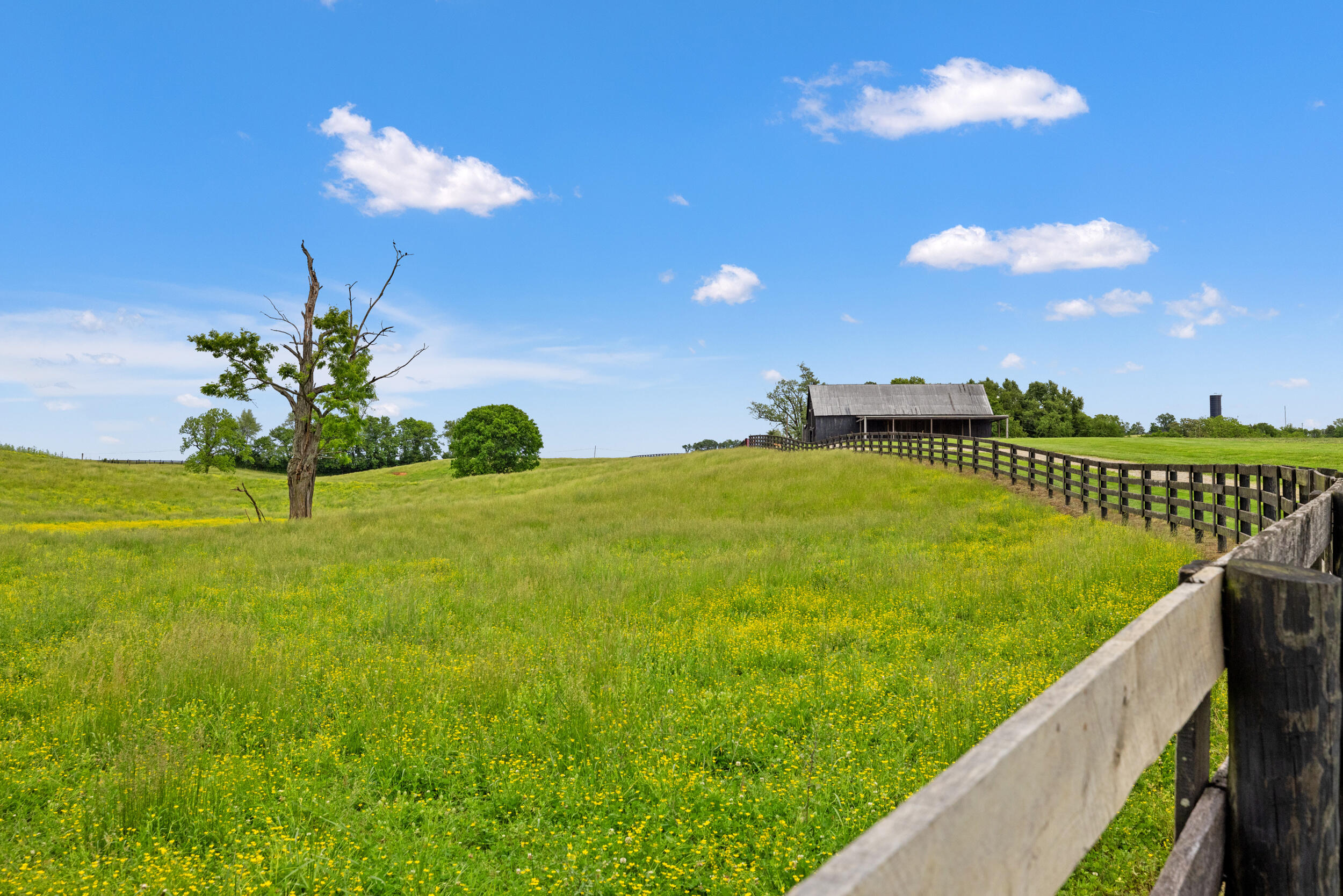 495 Shadrick Ferry Road