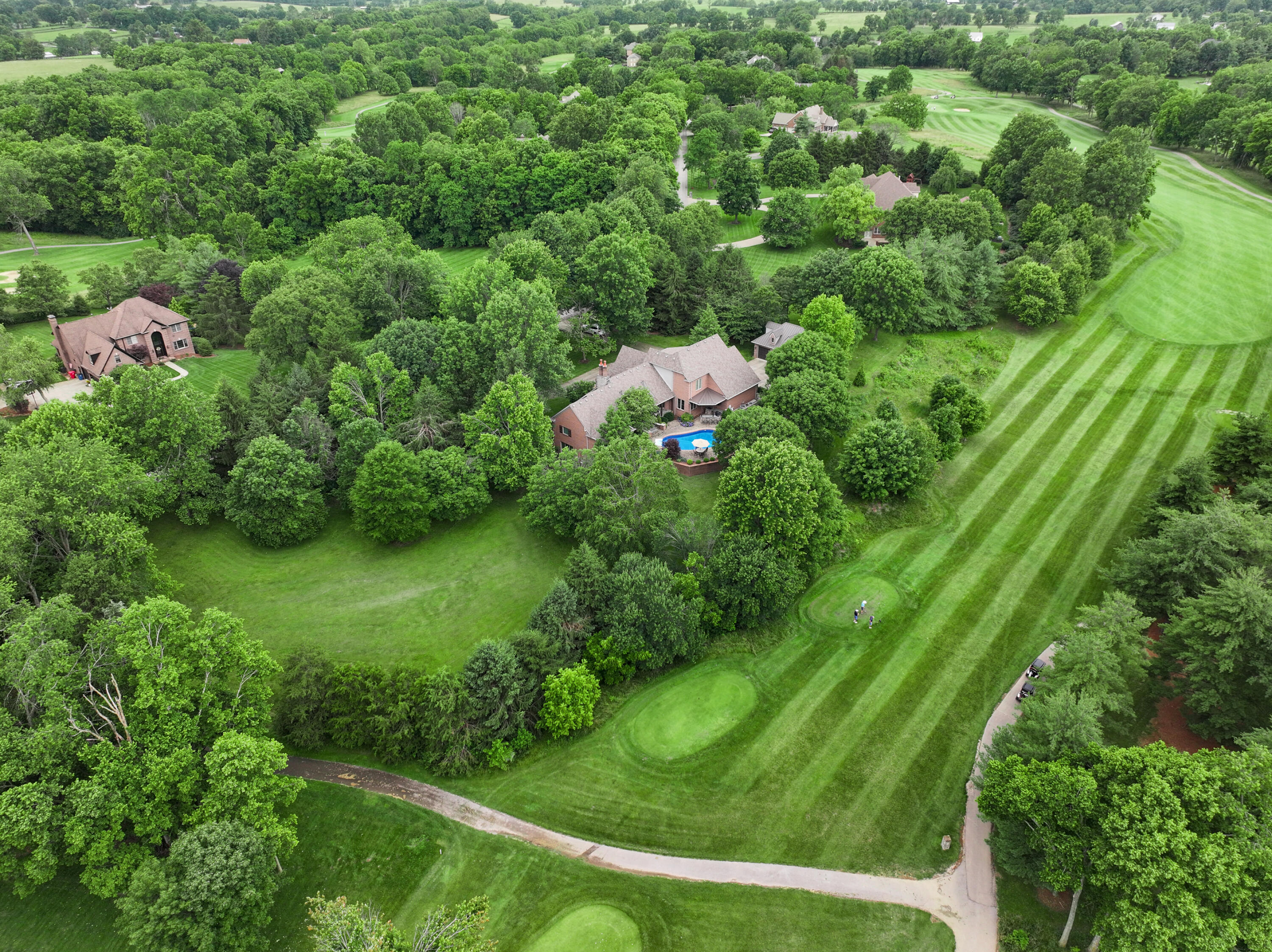 52 Avenue of Champions