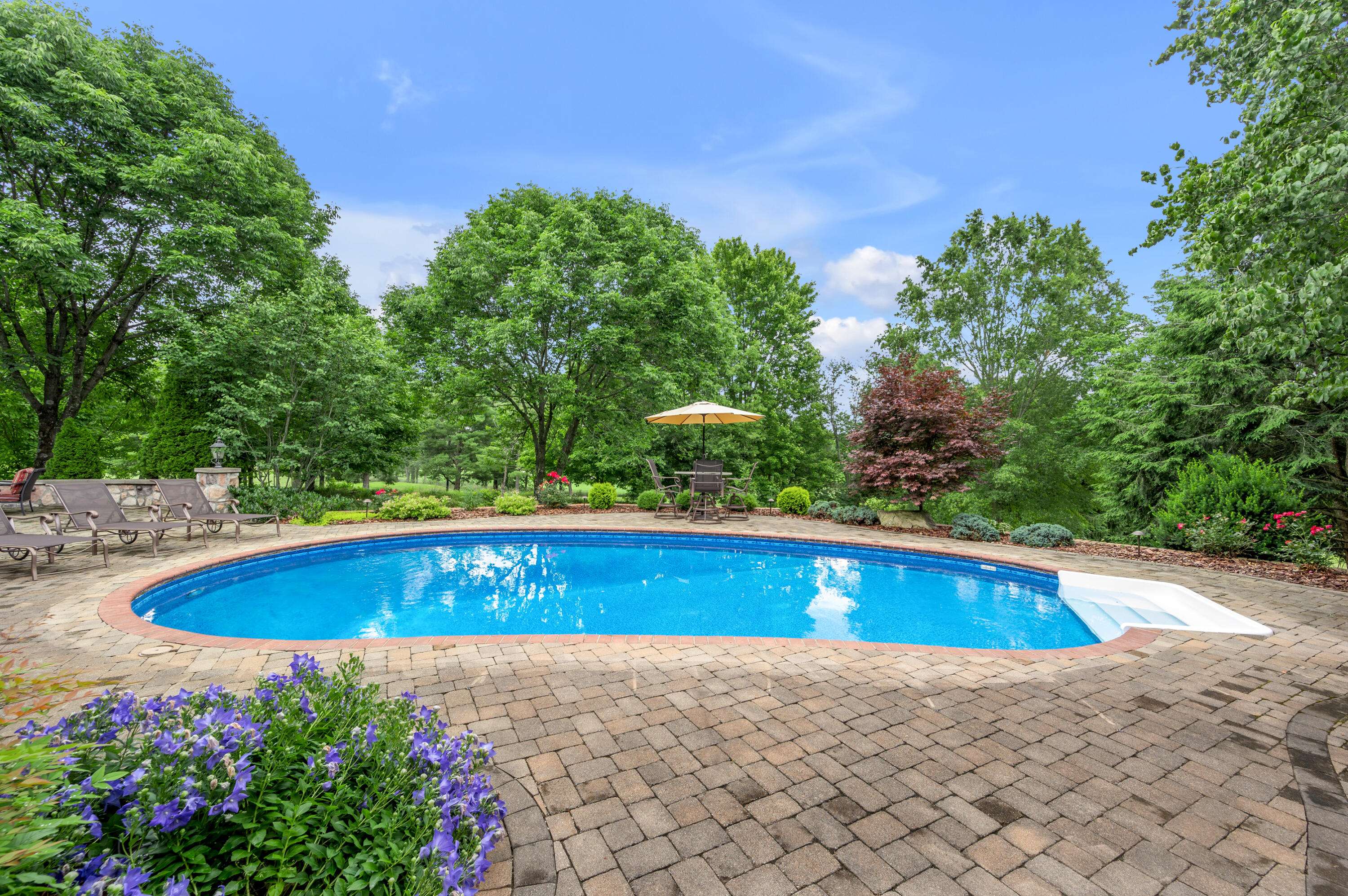 52 Avenue of Champions