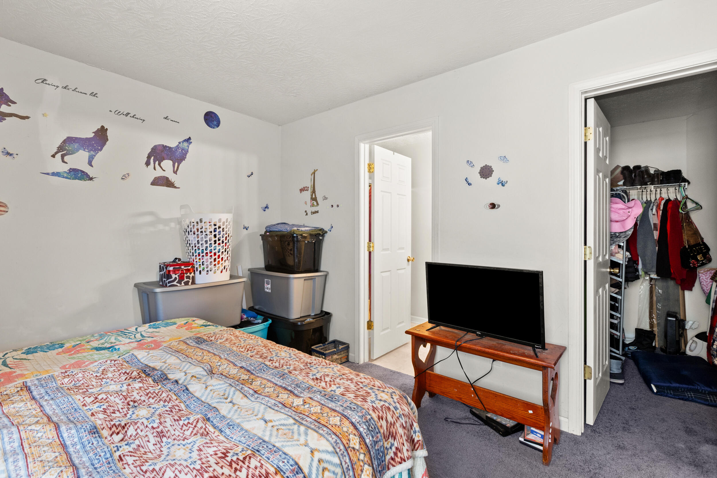115 Ruffian Trail