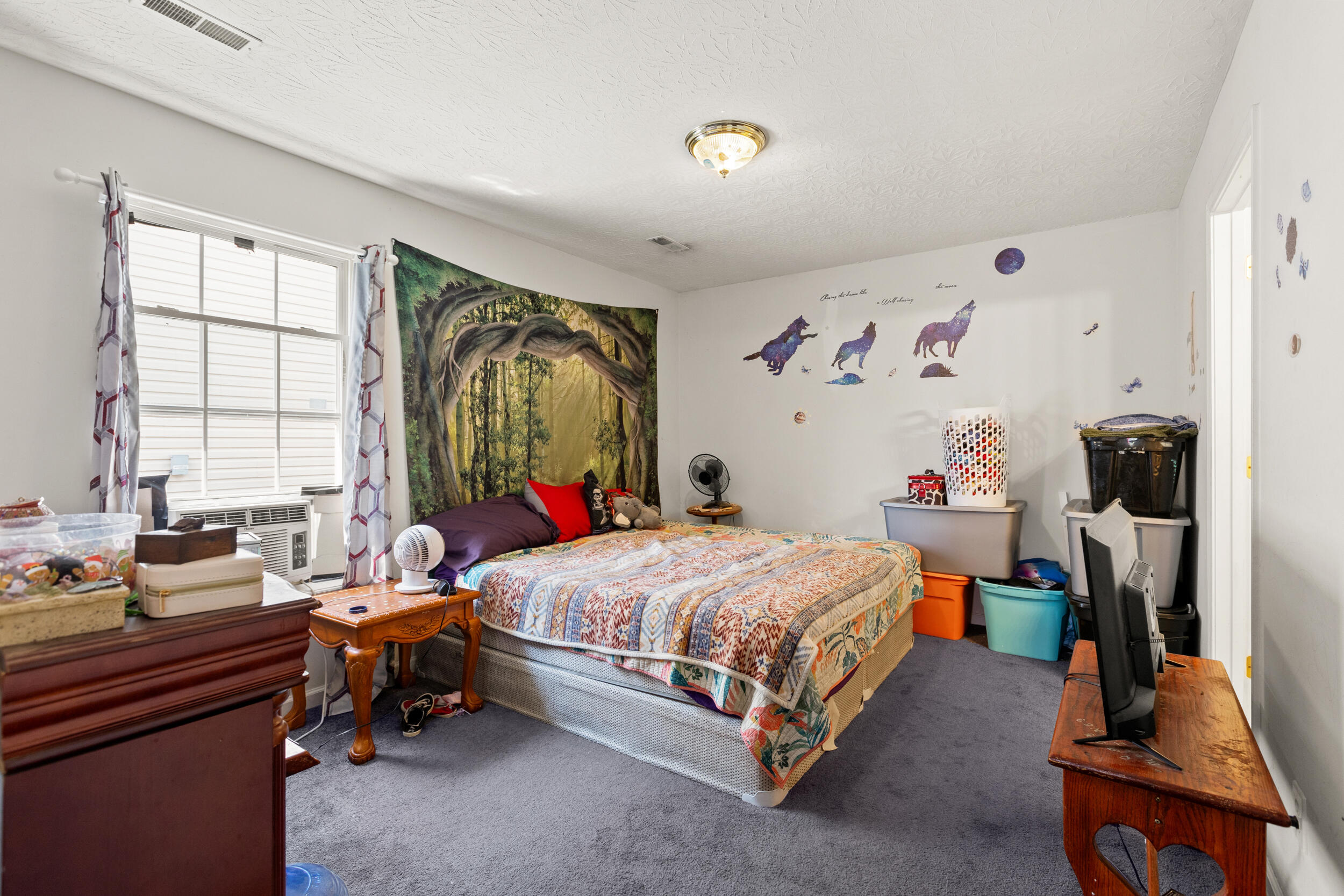 115 Ruffian Trail