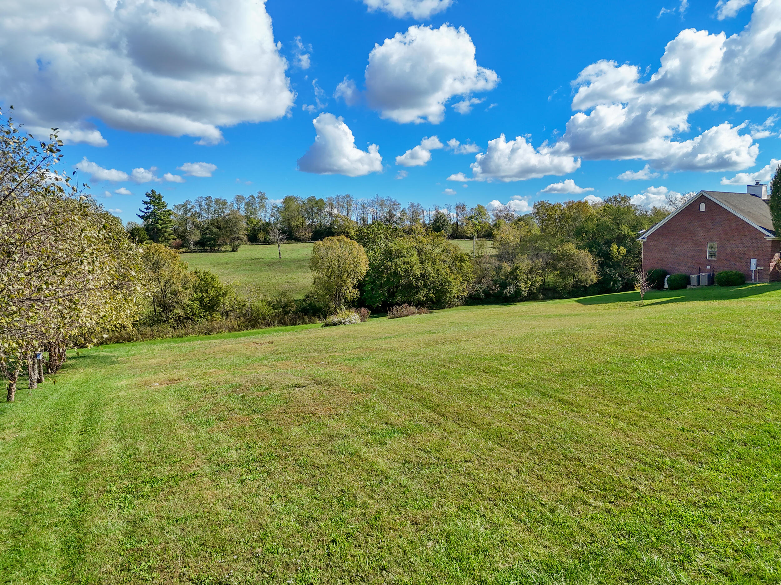 1005 Scotts Way