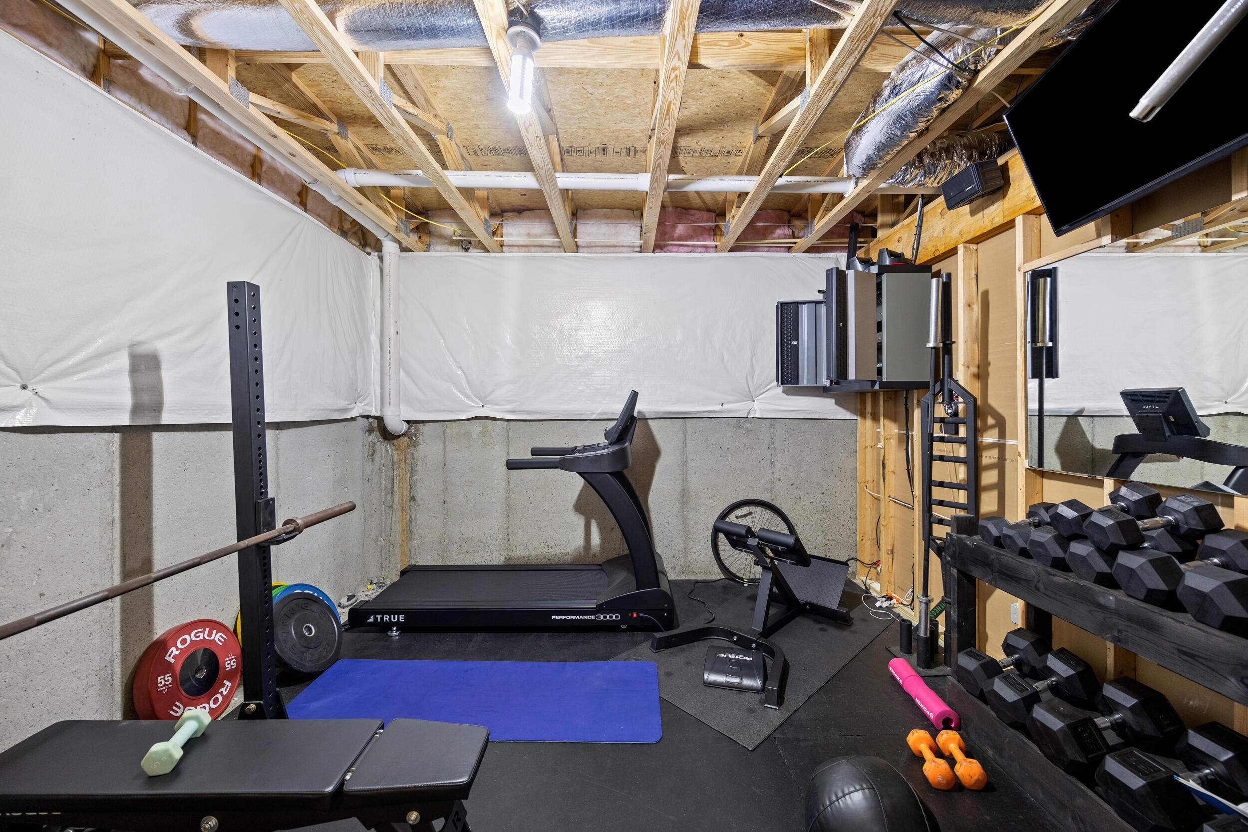 3640 Horsemint Trail