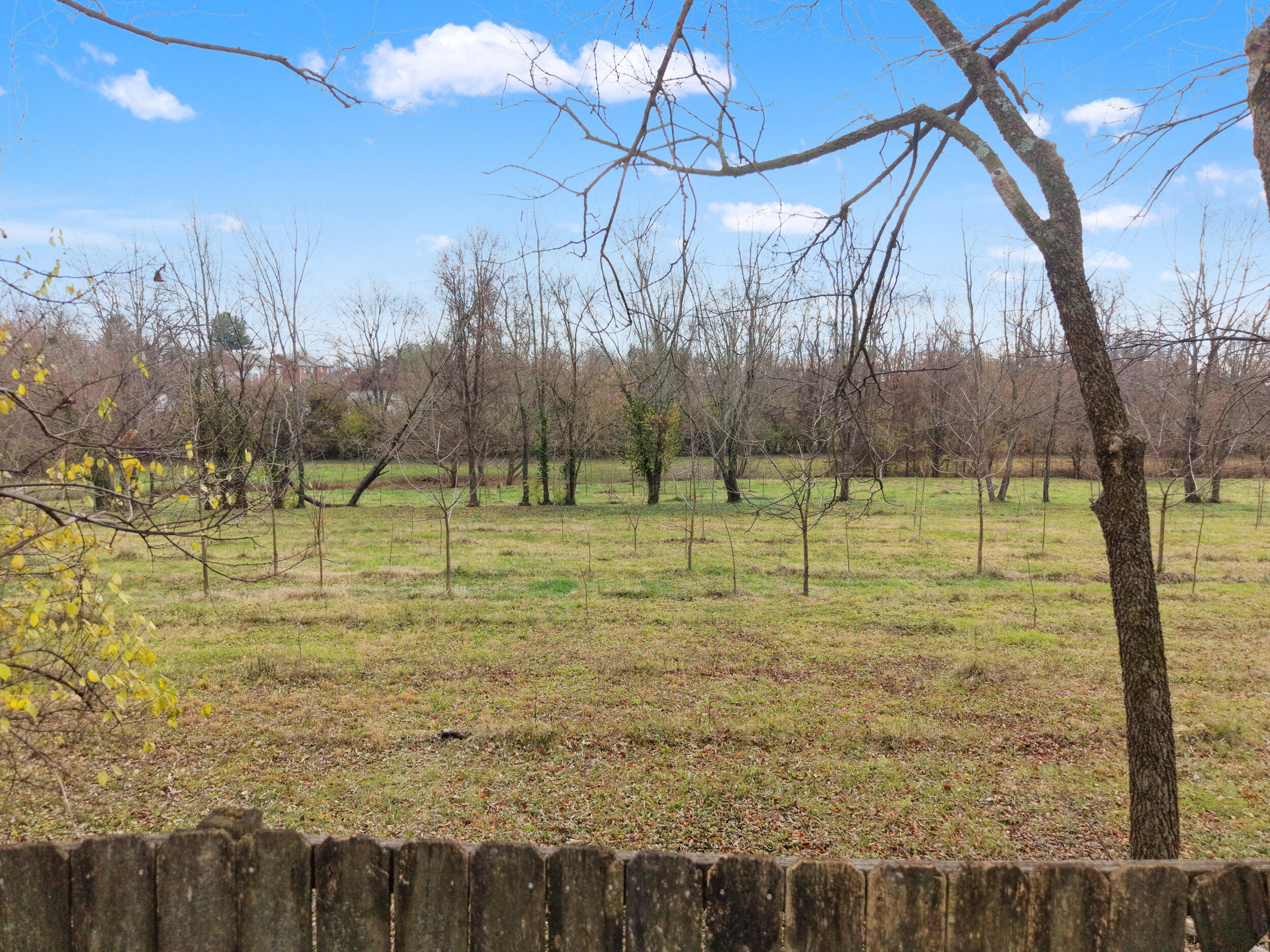 1777 Courtney Avenue