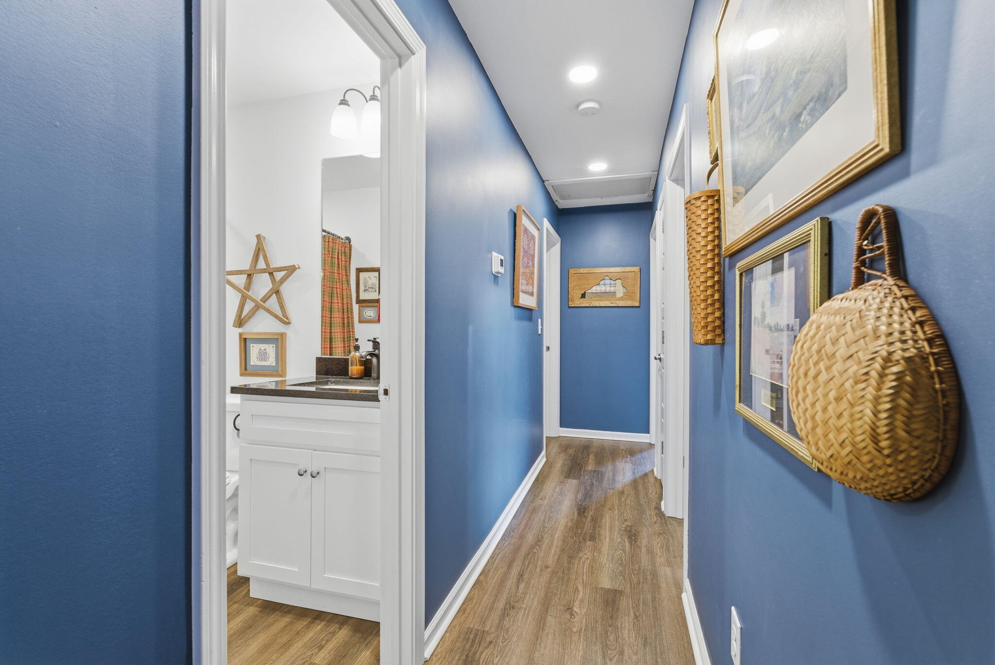 313 Alexander Street