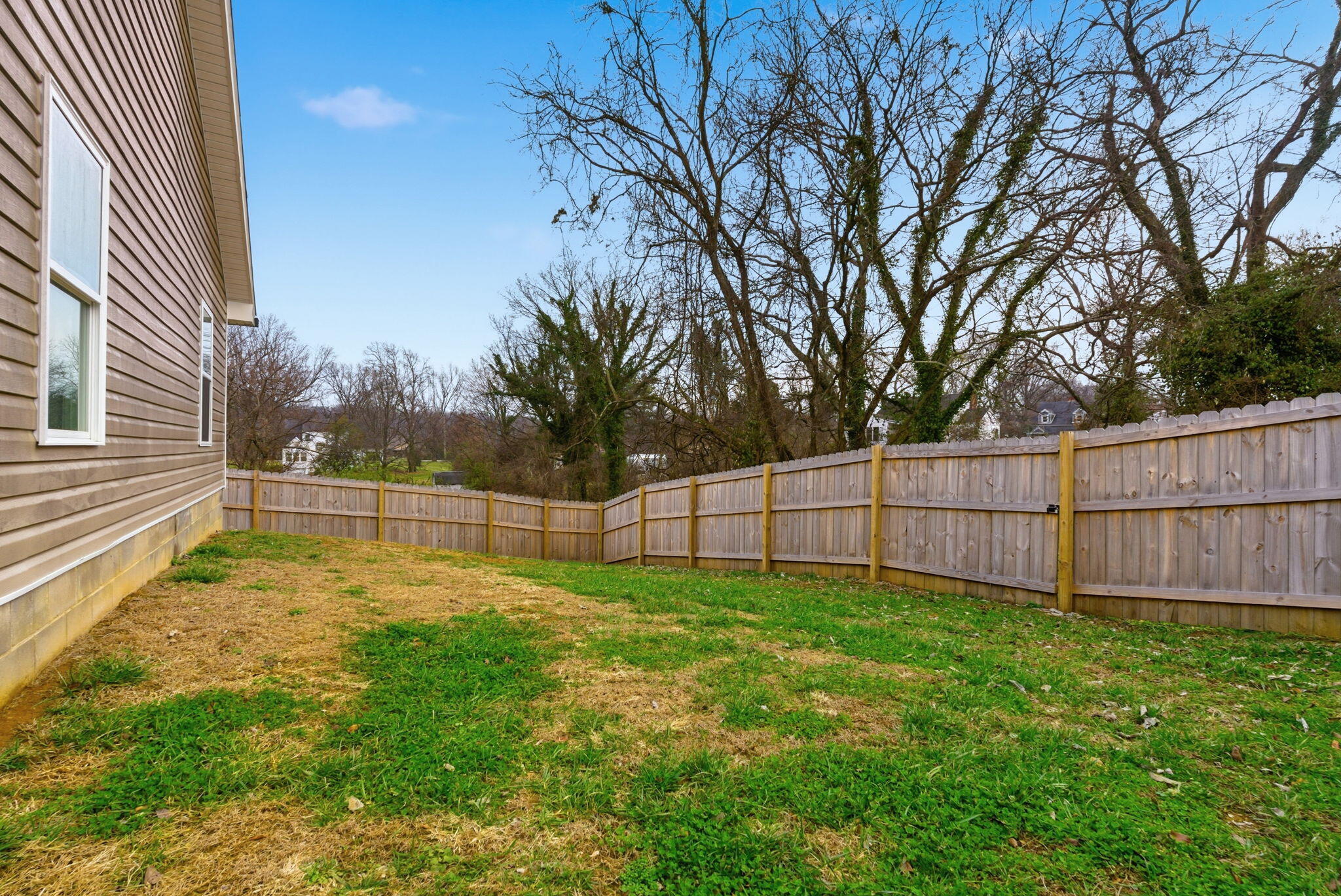 313 Alexander Street