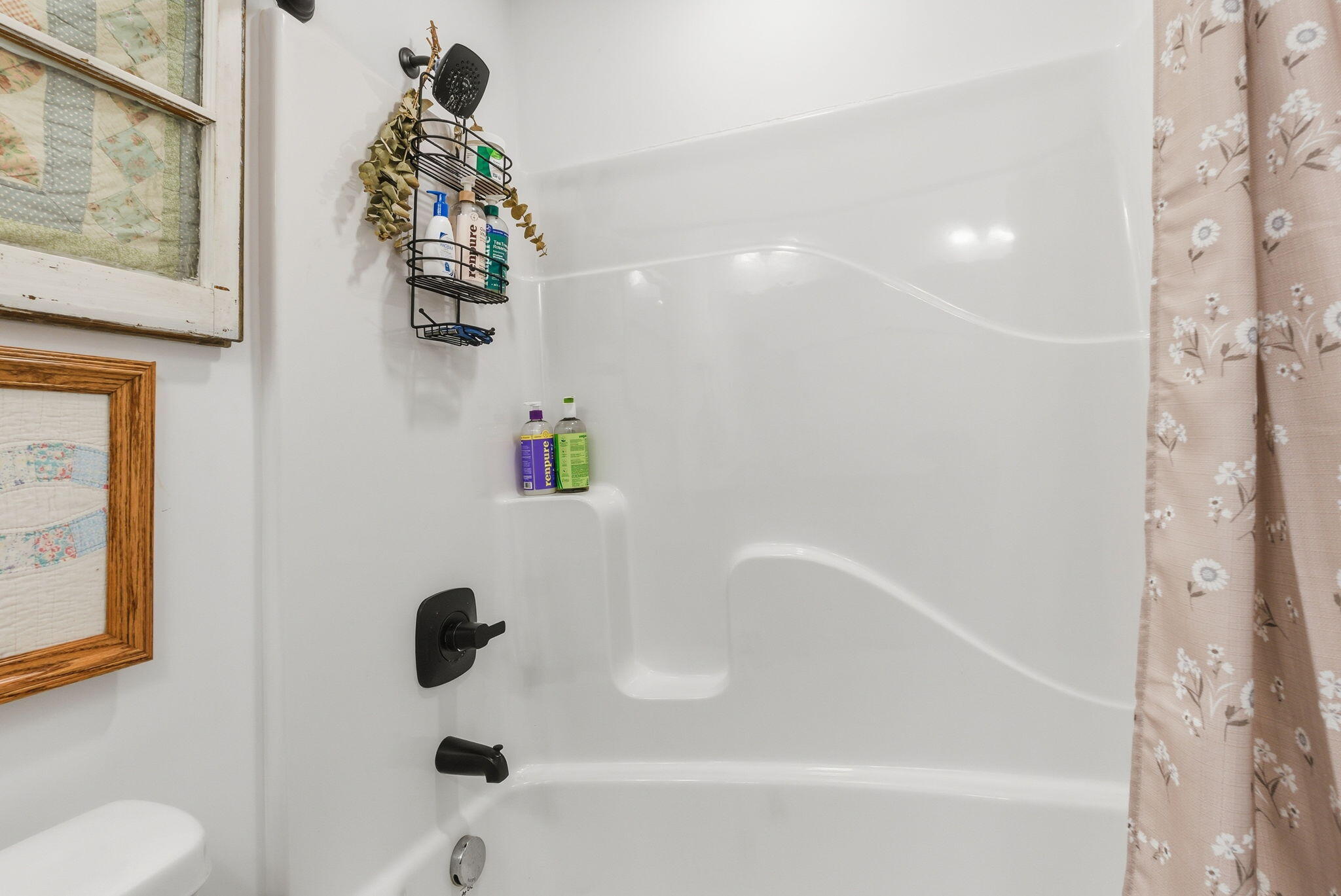 313 Alexander Street