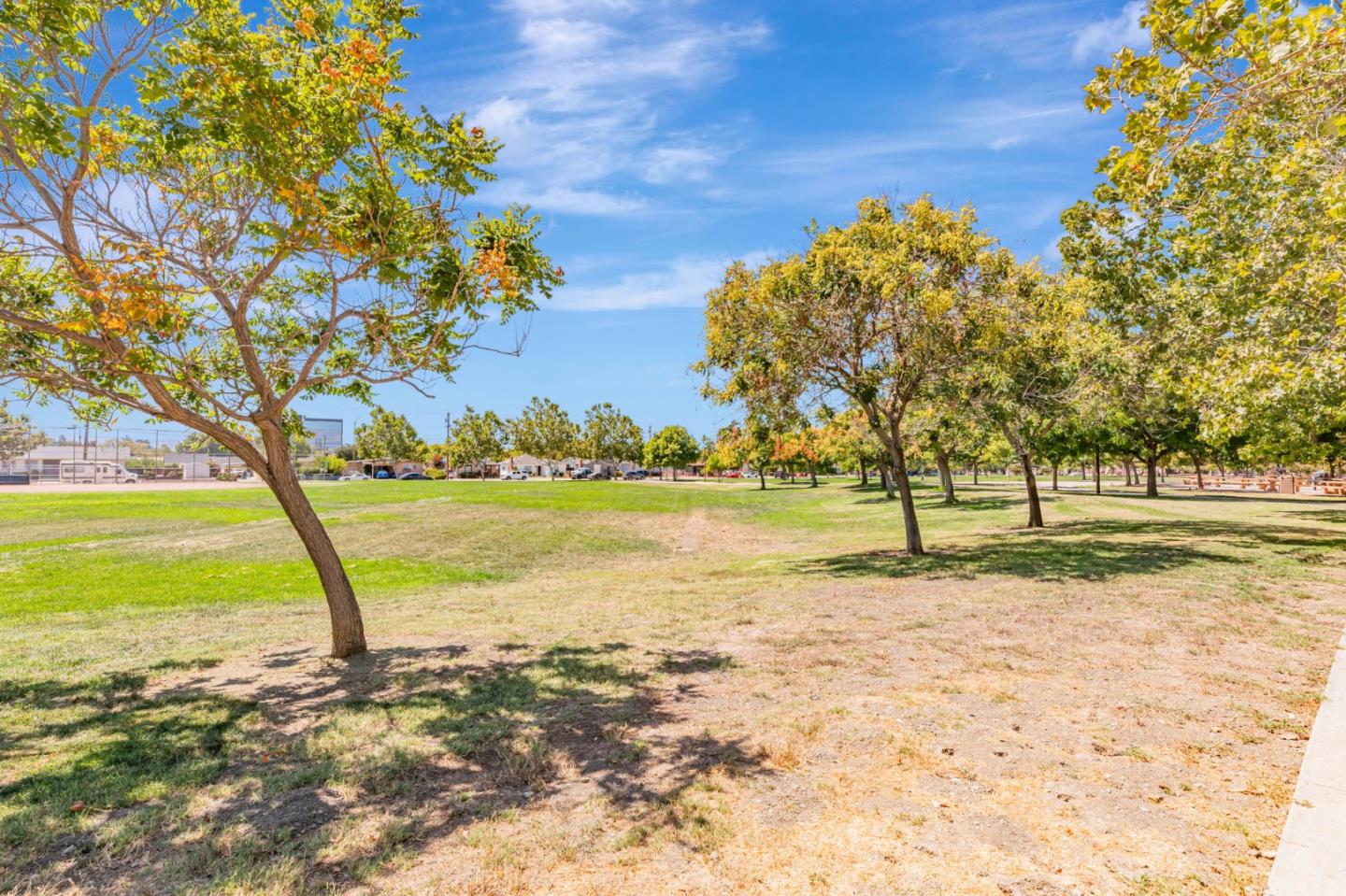 800 North 8th Street 311