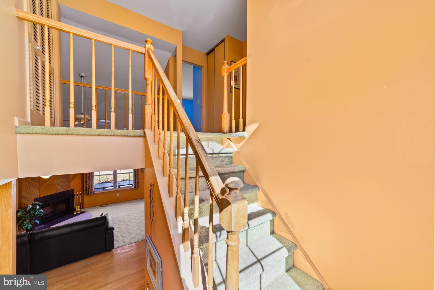 86 Cypress Dr