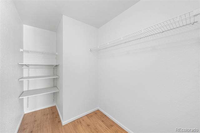 9569 Elk Mountain Circle