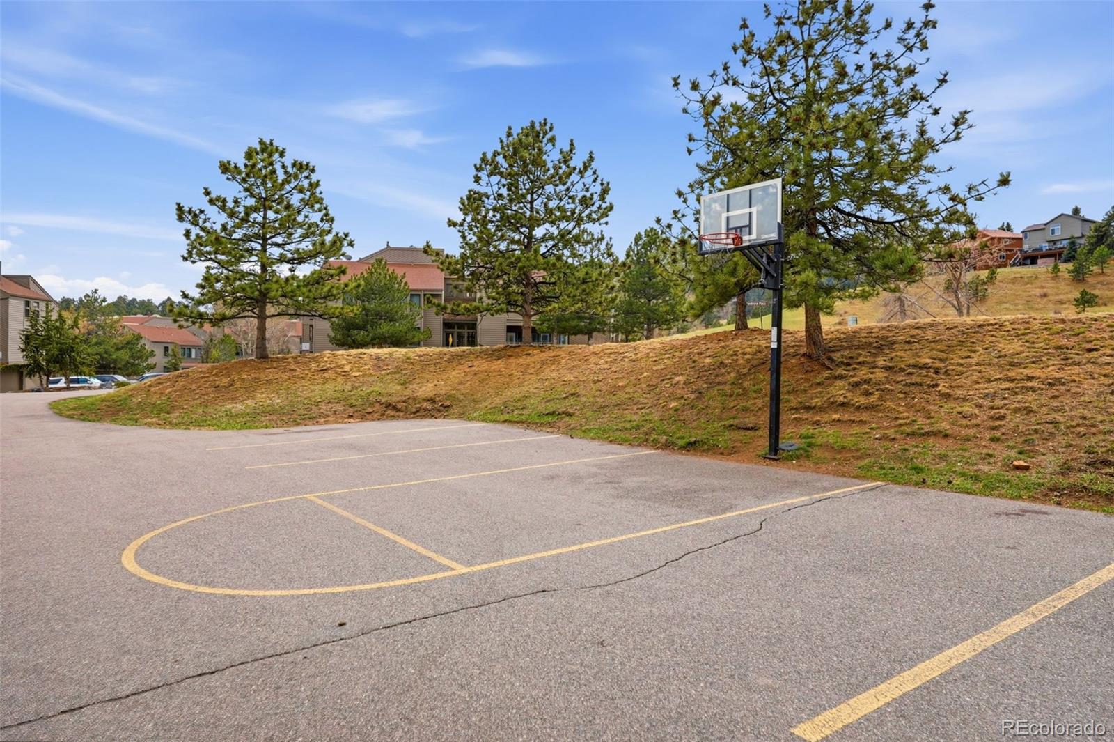 23557 Genesee Village Road Unit: A
