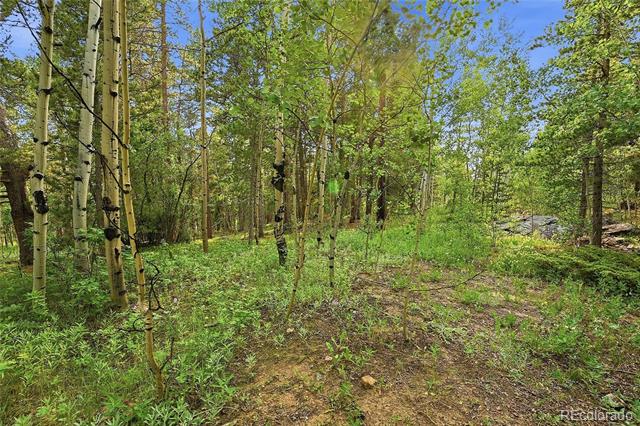 464 Long Trail Road