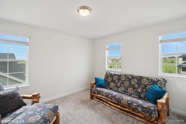 1143 Williams Loop