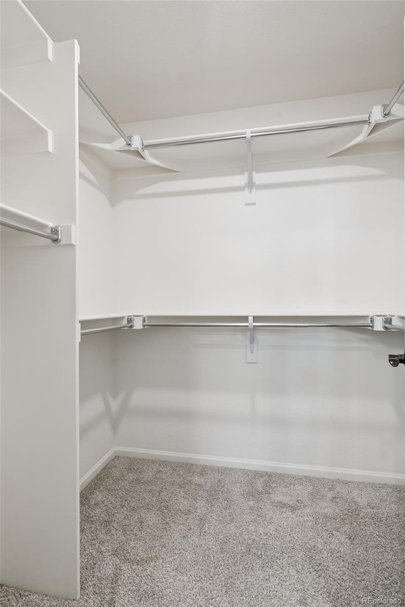 10115 Yampa Court