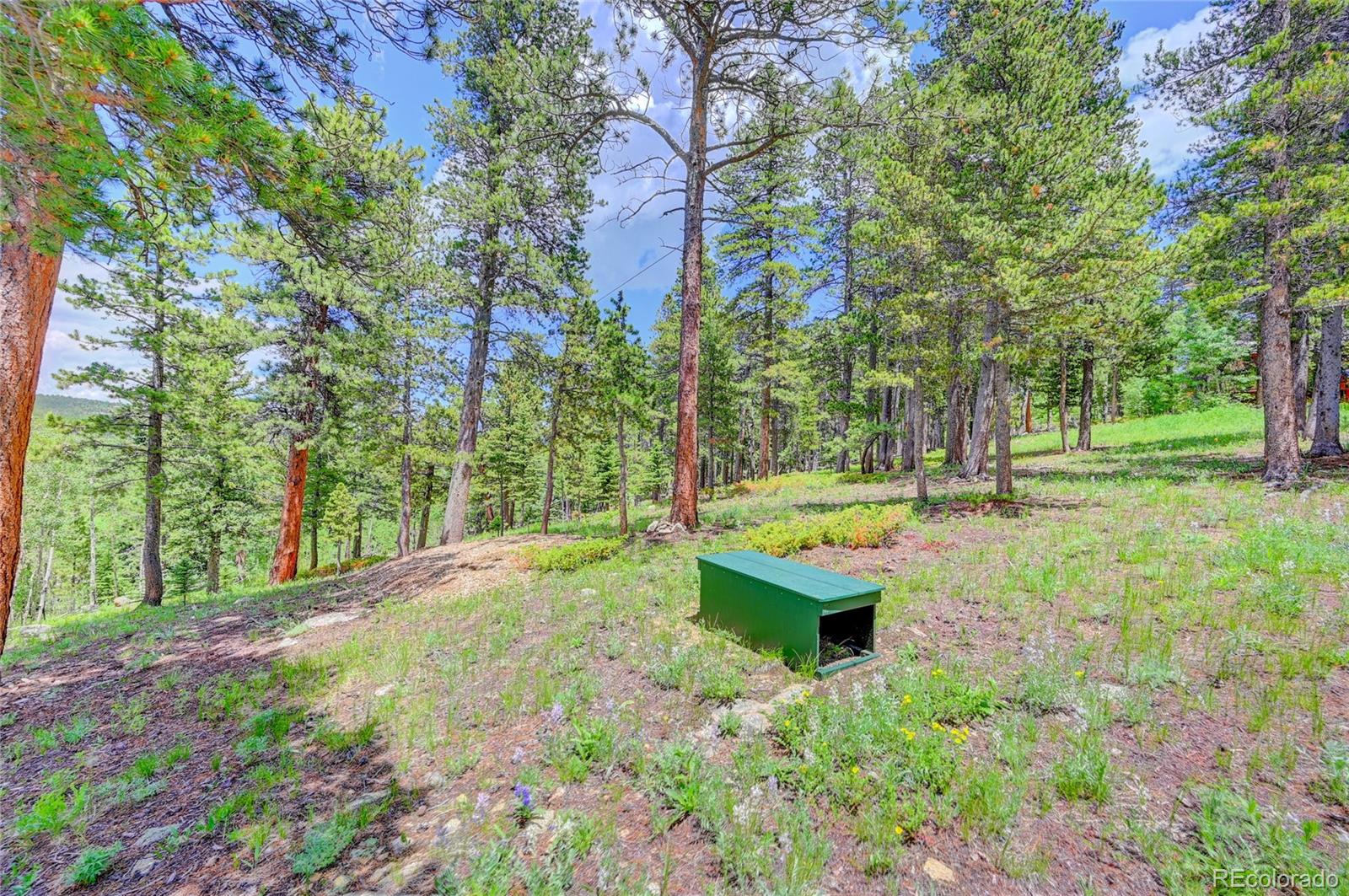 631 Lodge Pole Drive