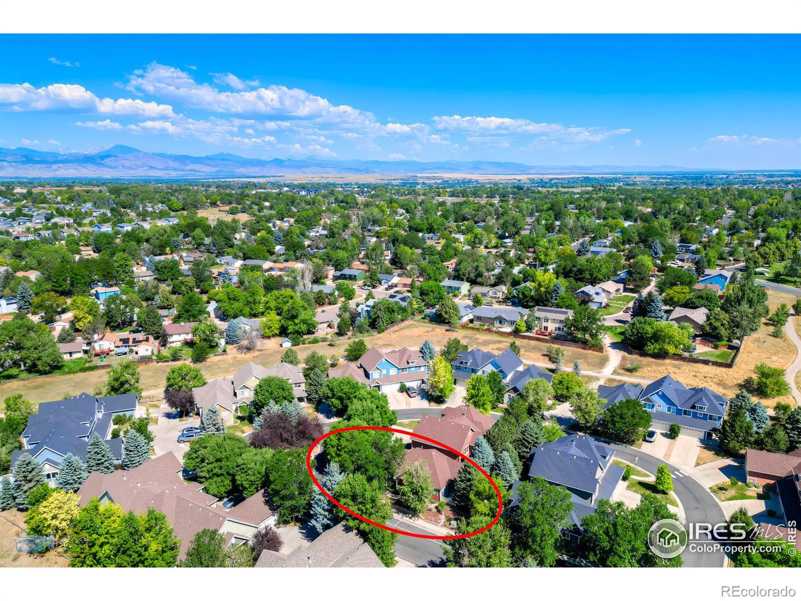 539 Wild Ridge Lane