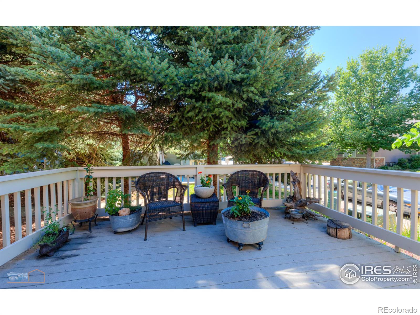 539 Wild Ridge Lane